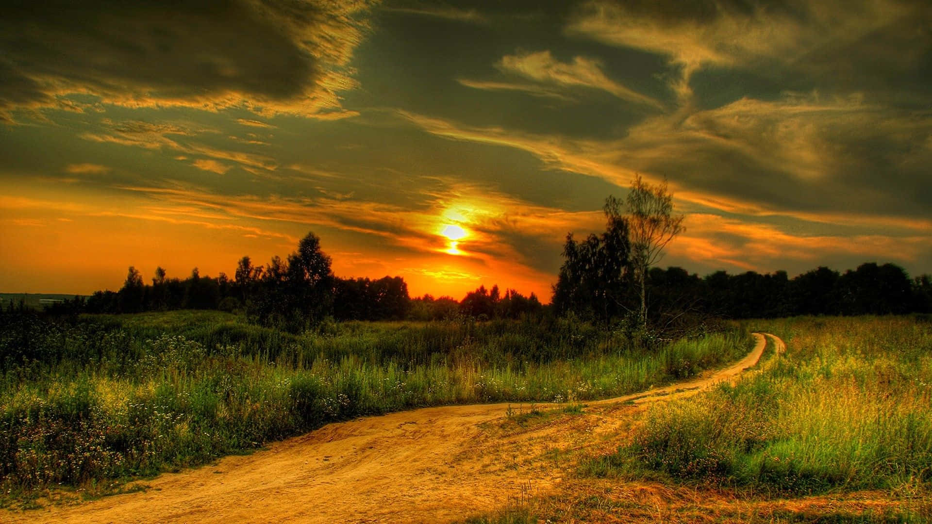 beautiful road sunset
