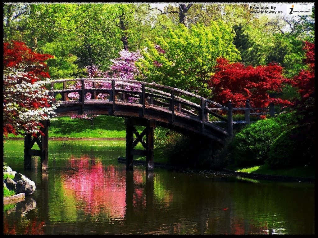 Beautiful Scenery Desktop Spring Bridge Wallpaper