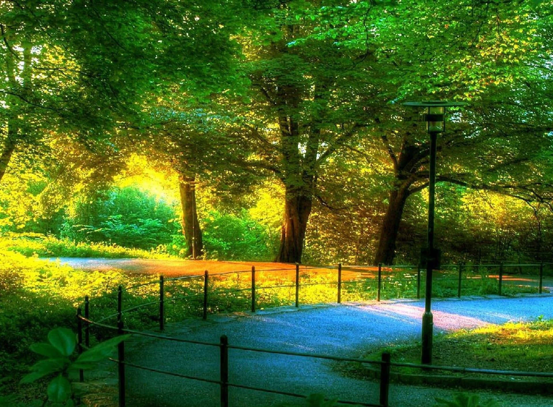 Hermosopaisaje De Escritorio Con Árboles Verdes En El Parque. Fondo de pantalla