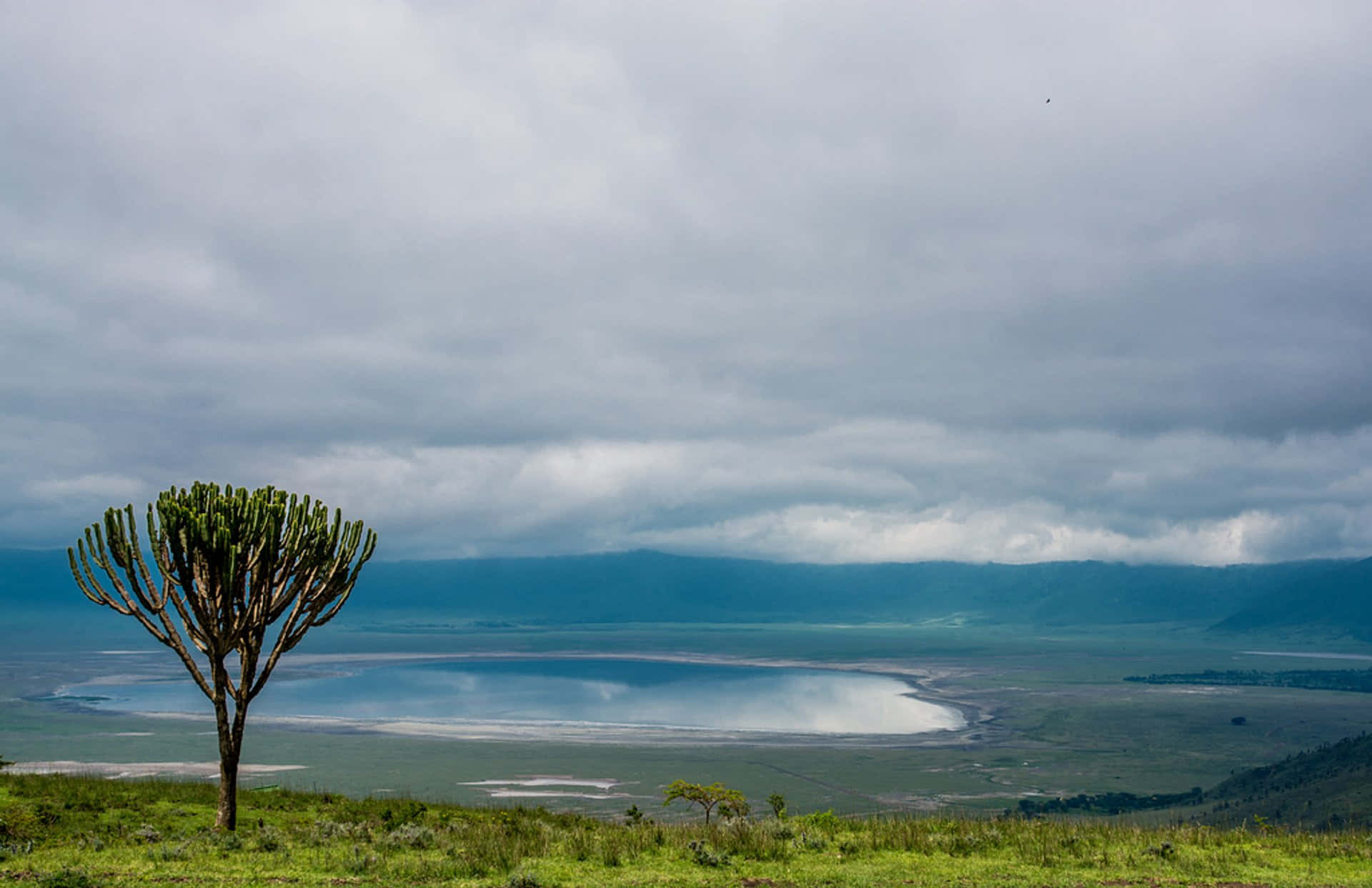 Smukt landskab af Lake Magadi Tanzania Ngorongoro Krater Wallpaper