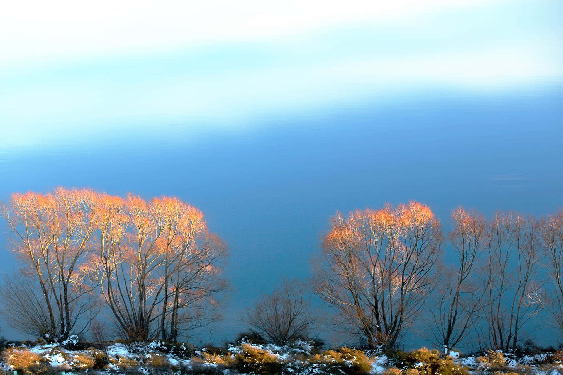 Fotovon Einem Ruhigen, Friedlichen See, Umgeben Von Üppig Grünen Bäumen Mitten In Der Natur