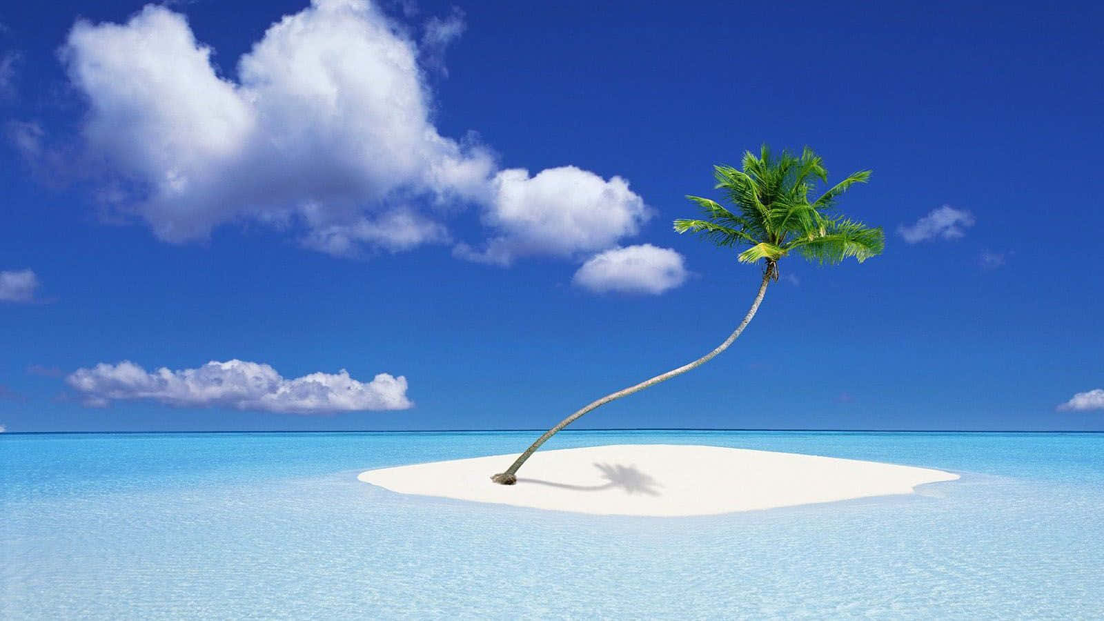 Smuk hav isoleret hvid sand Palm Tree-øen Strande Wallpaper