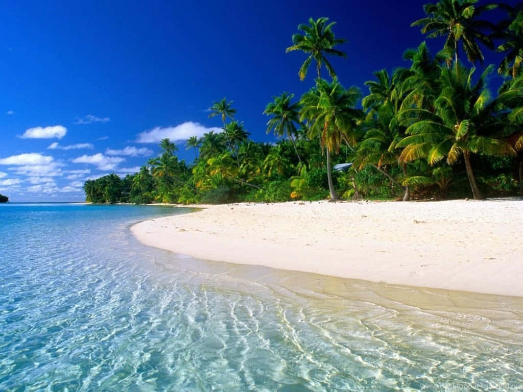 Hermosomar Tropical Y Playa Blanca. Fondo de pantalla