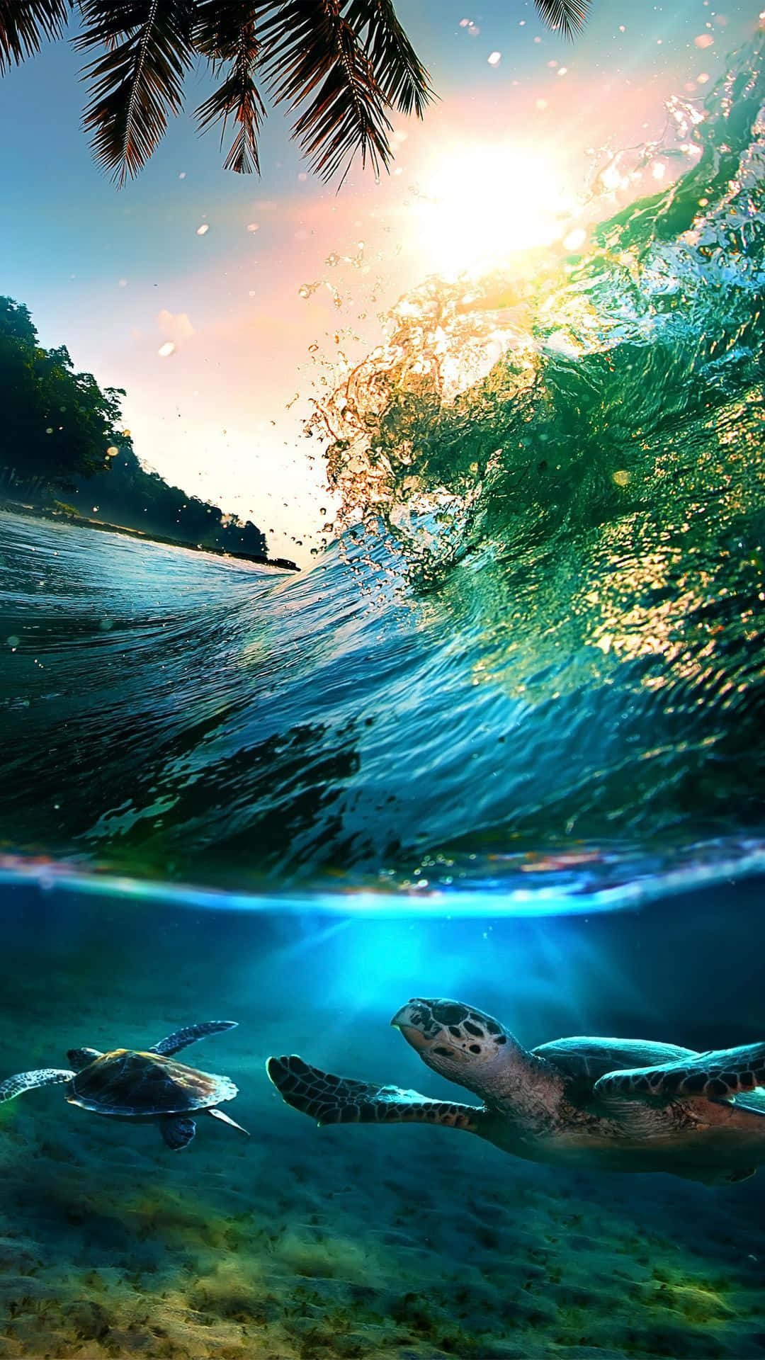 Beautiful Sea Waves&Swimming Turtles Wallpaper