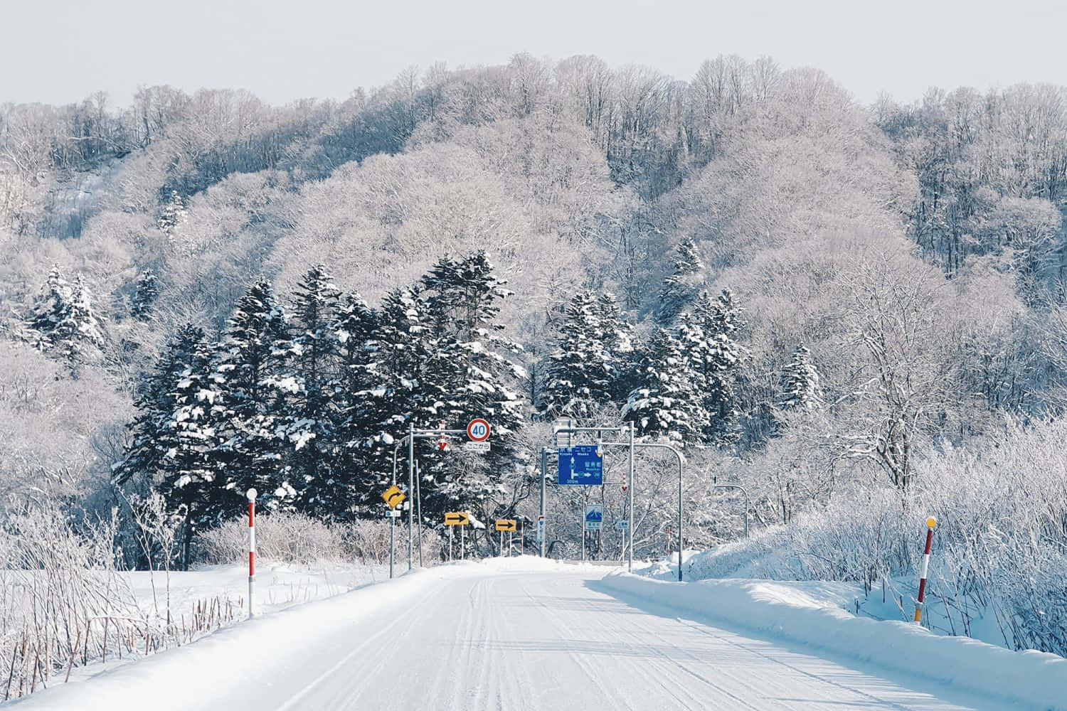 Beautiful Snow Mountain Road Picture