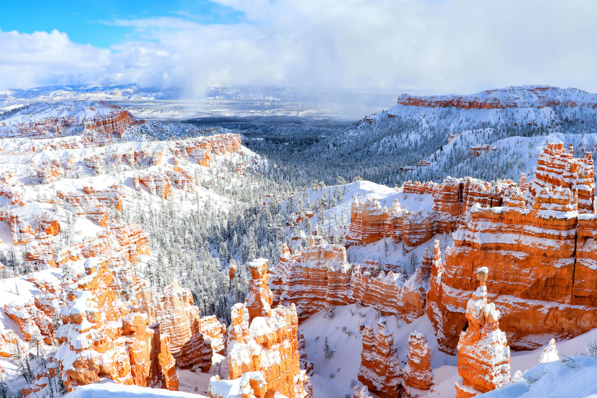 Smukke sne Bryce Canyon National Park billede tapet