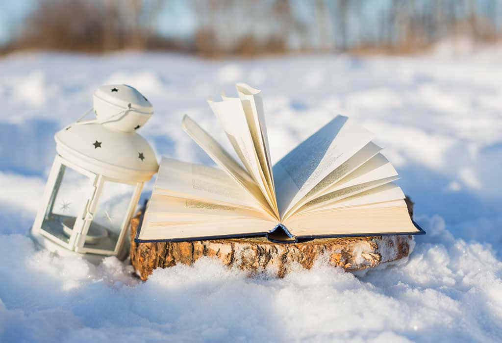Beautiful Snow Book Picture
