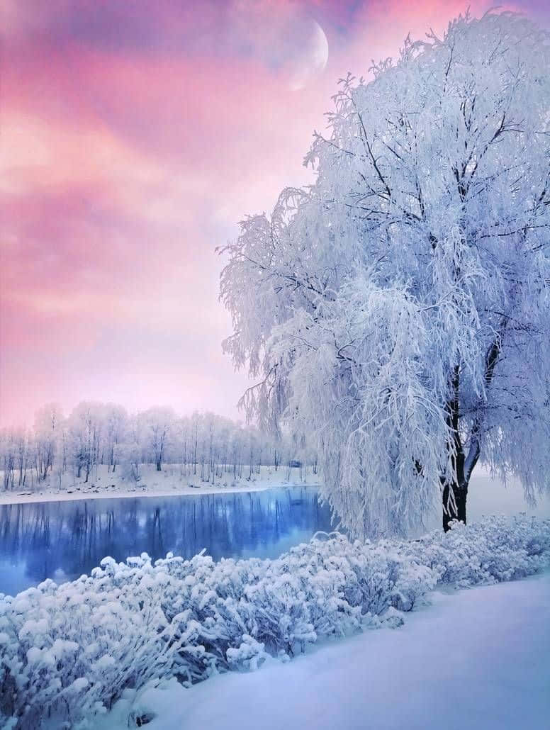 Beautiful Snow Pink Sky Picture