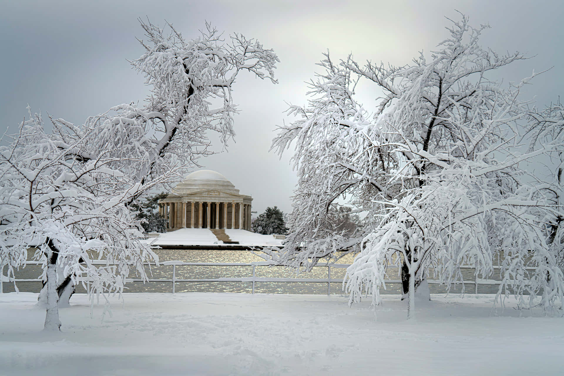 Beautiful Snow Washington DC Picture