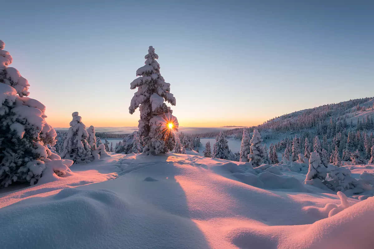 Vackertsolnedgångsbild Med Snö.