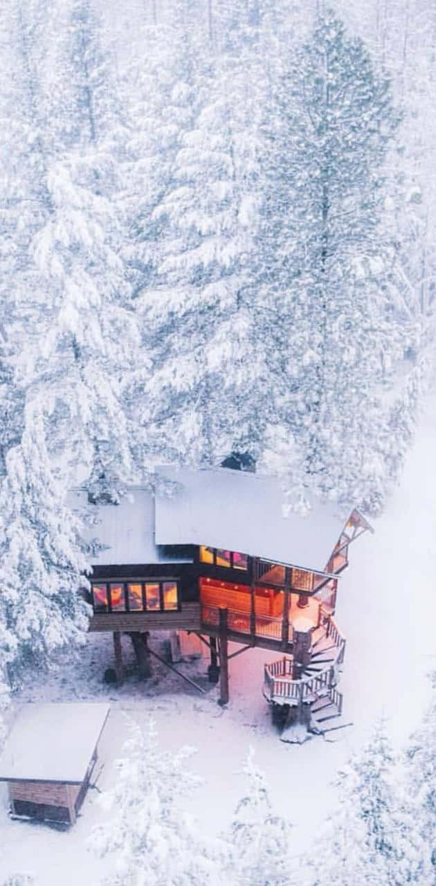 Smukke Sne Skov Hus Billede