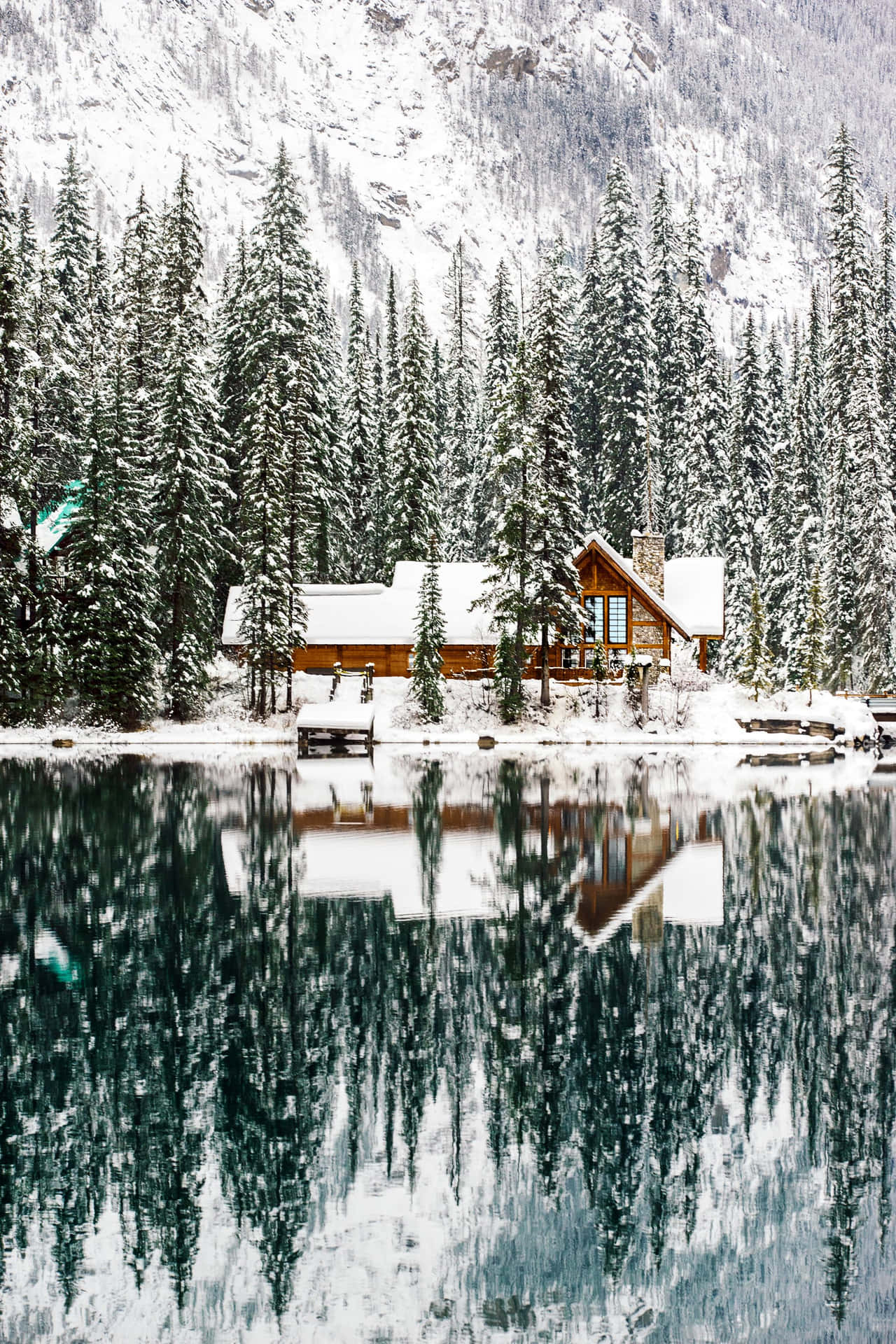 Beautiful Snow Lake Picture