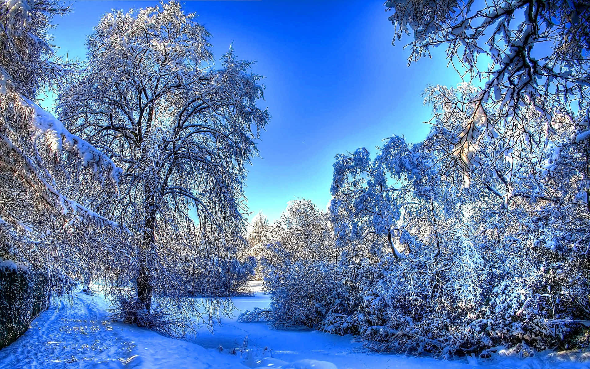 Hermosaimagen De Cielo Azul Con Nieve