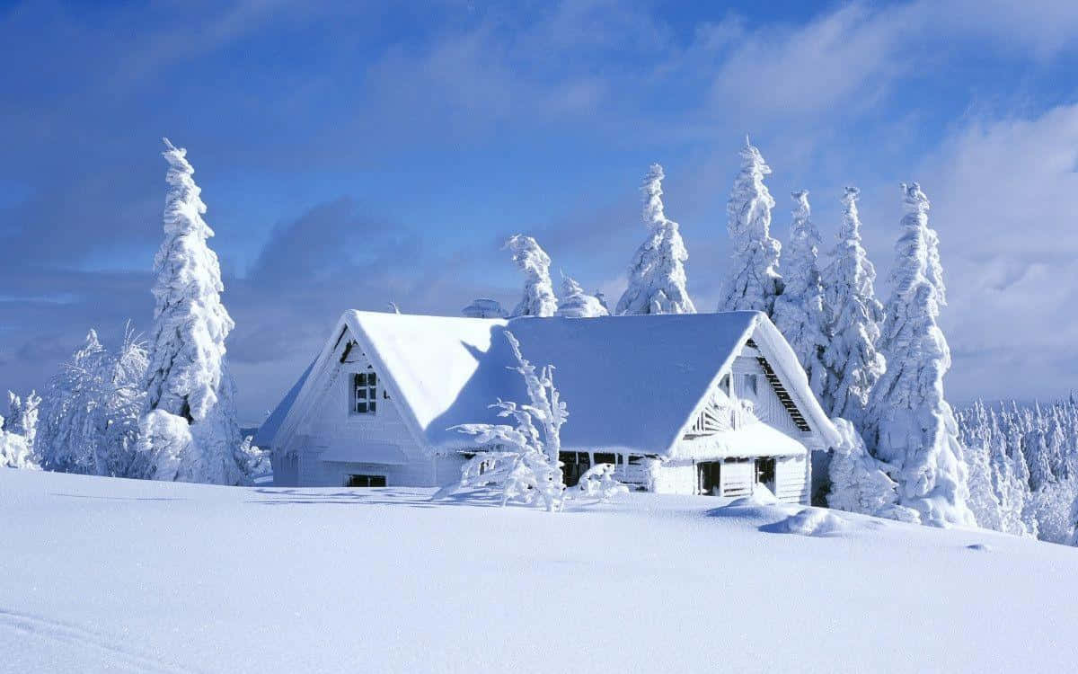 “Et malerisk syn af sne-dækkede marker, træer og hyttebygninger”