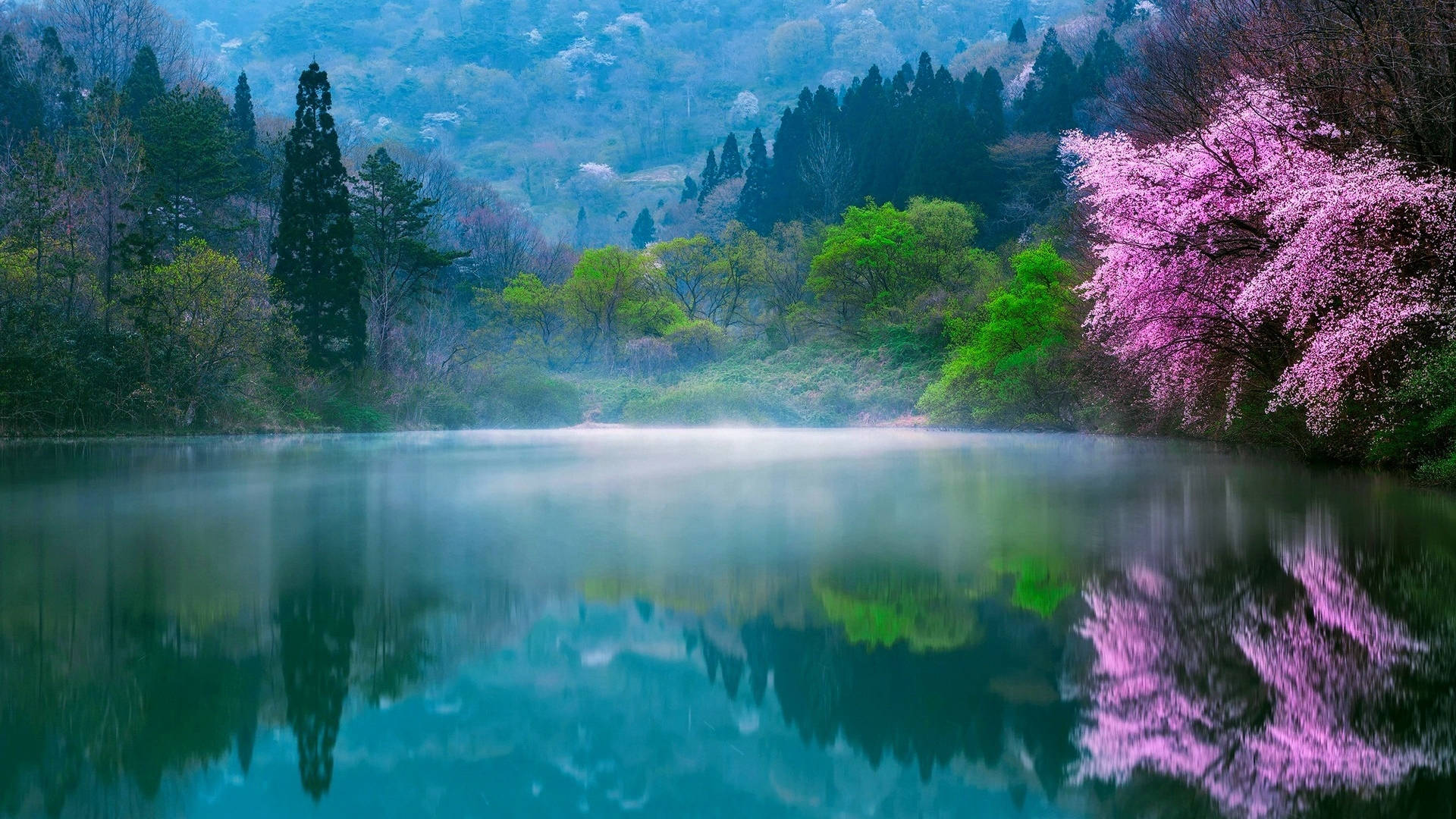 Parconazionale Di Seoraksan, Corea Del Sud, Una Splendida Primavera Sfondo