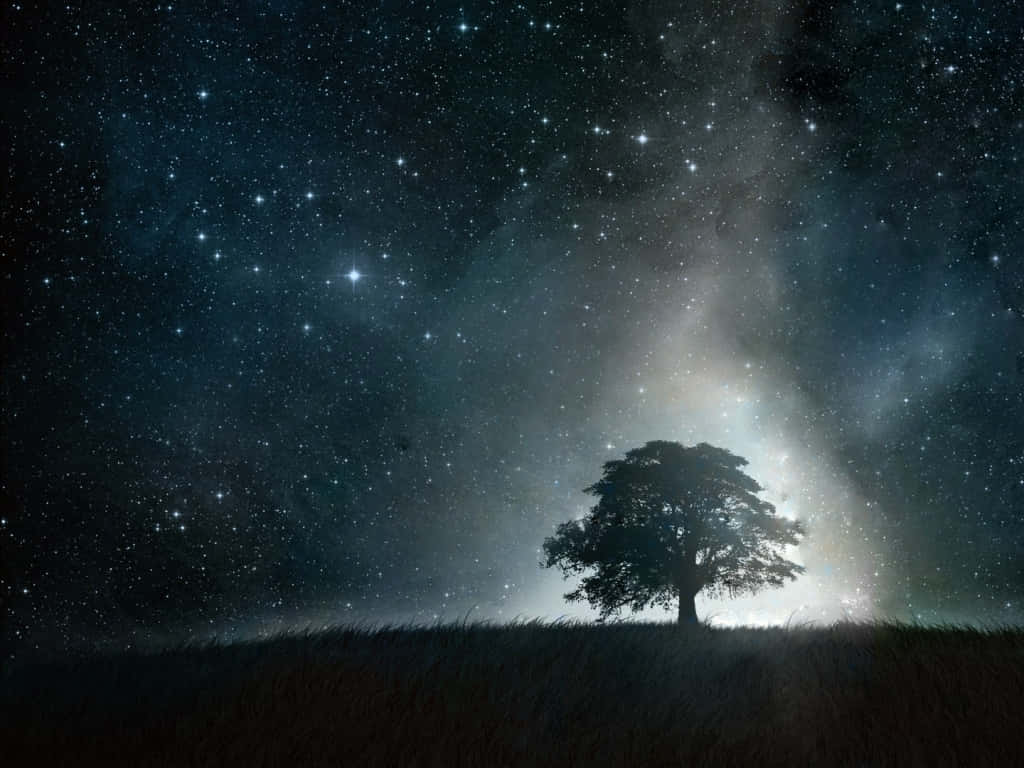 Stunning Star in the Night Sky Wallpaper