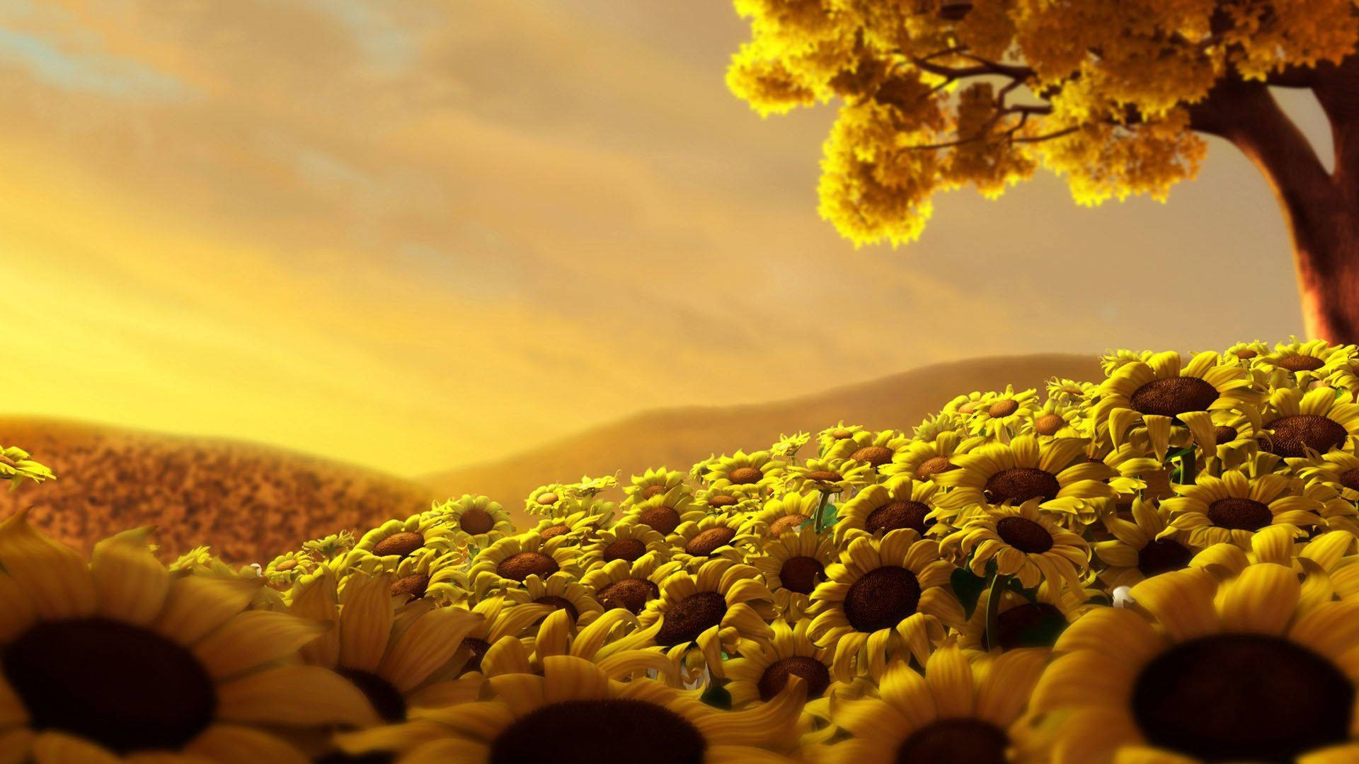 Begin your day with the sun by taking a peaceful stroll through the sunflower field Wallpaper