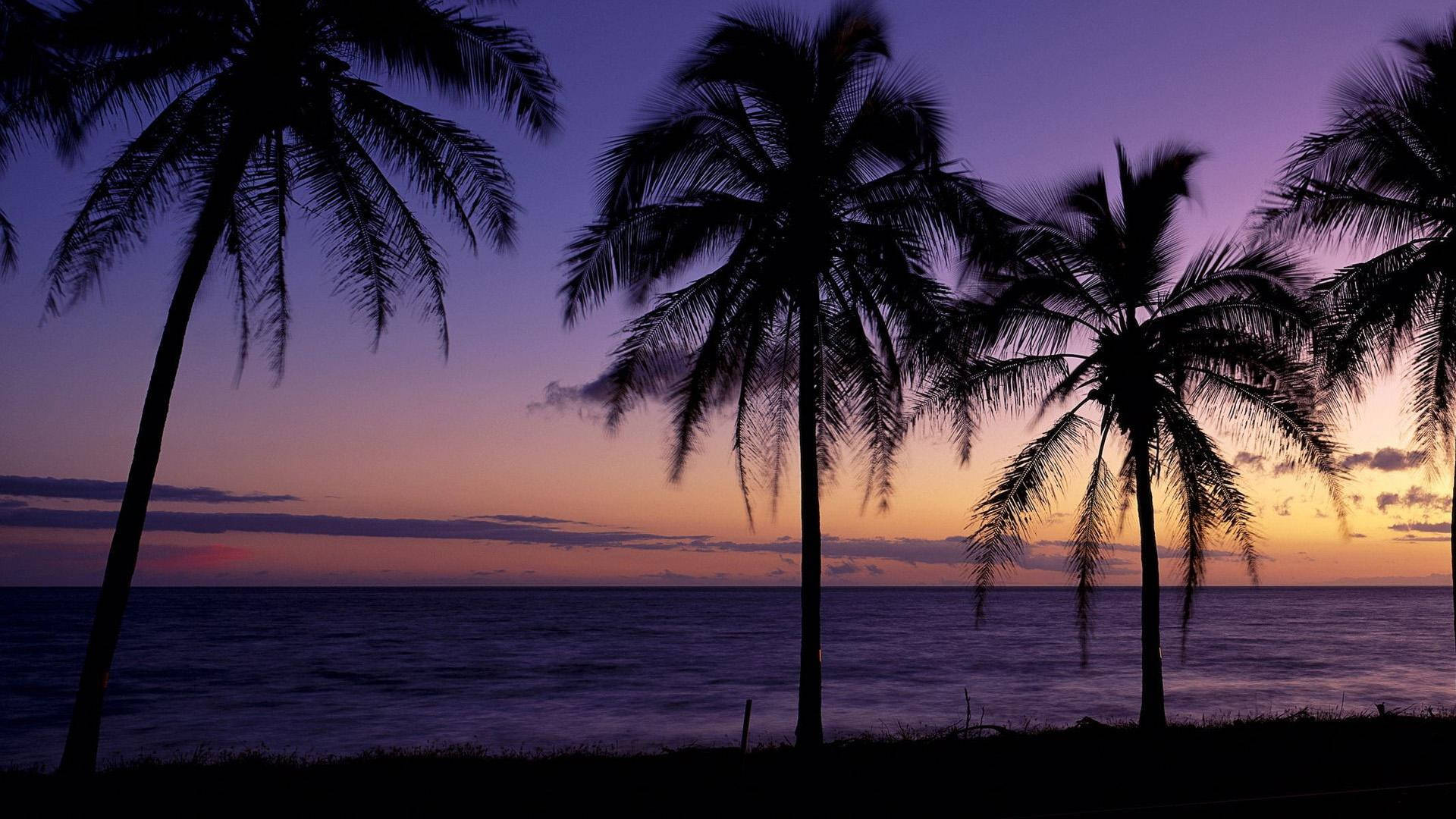 Beautiful Sunset Beach Theme Wallpaper