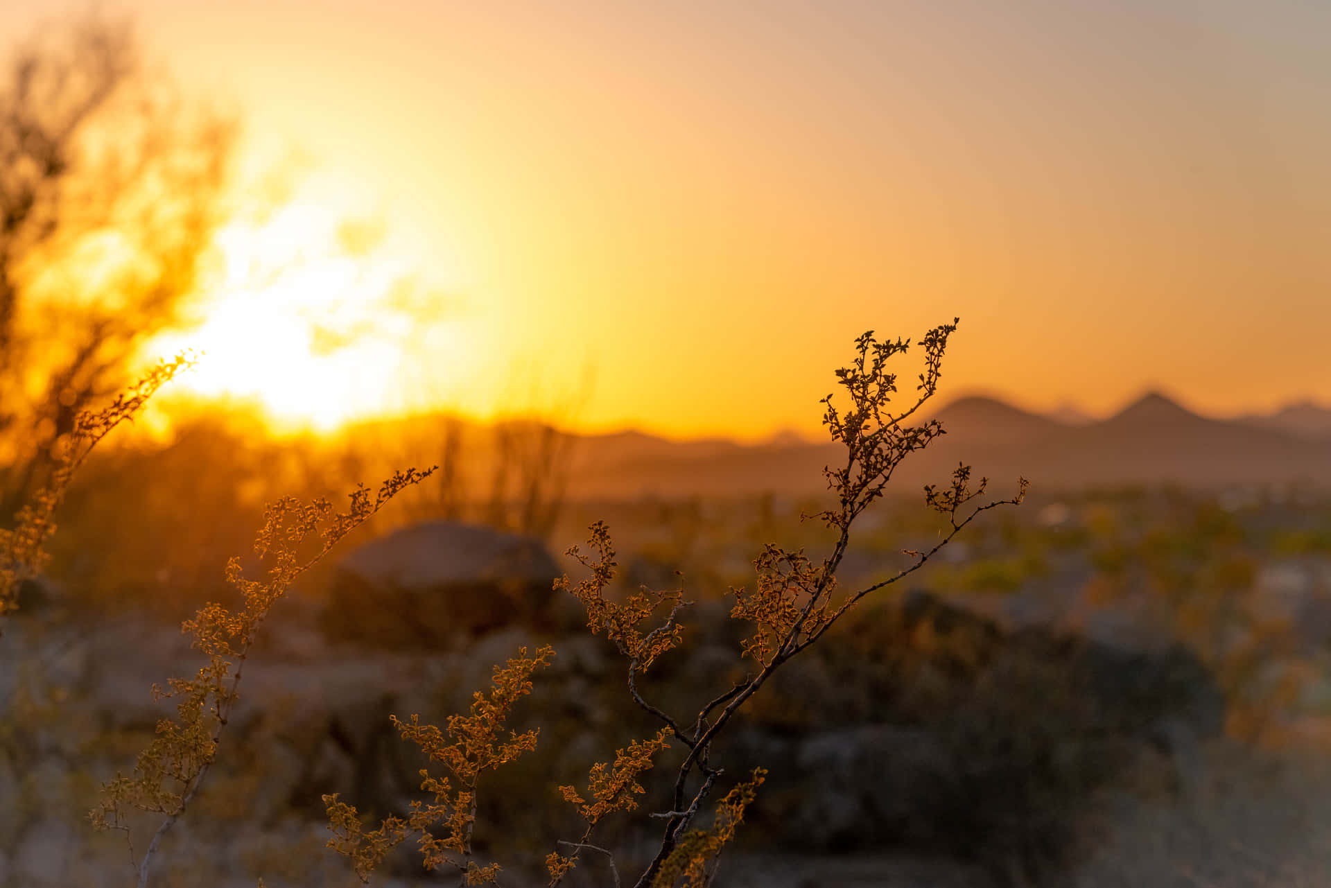 Einsonnenuntergang In Der Wüste Mit Einem Pinsel Im Hintergrund.