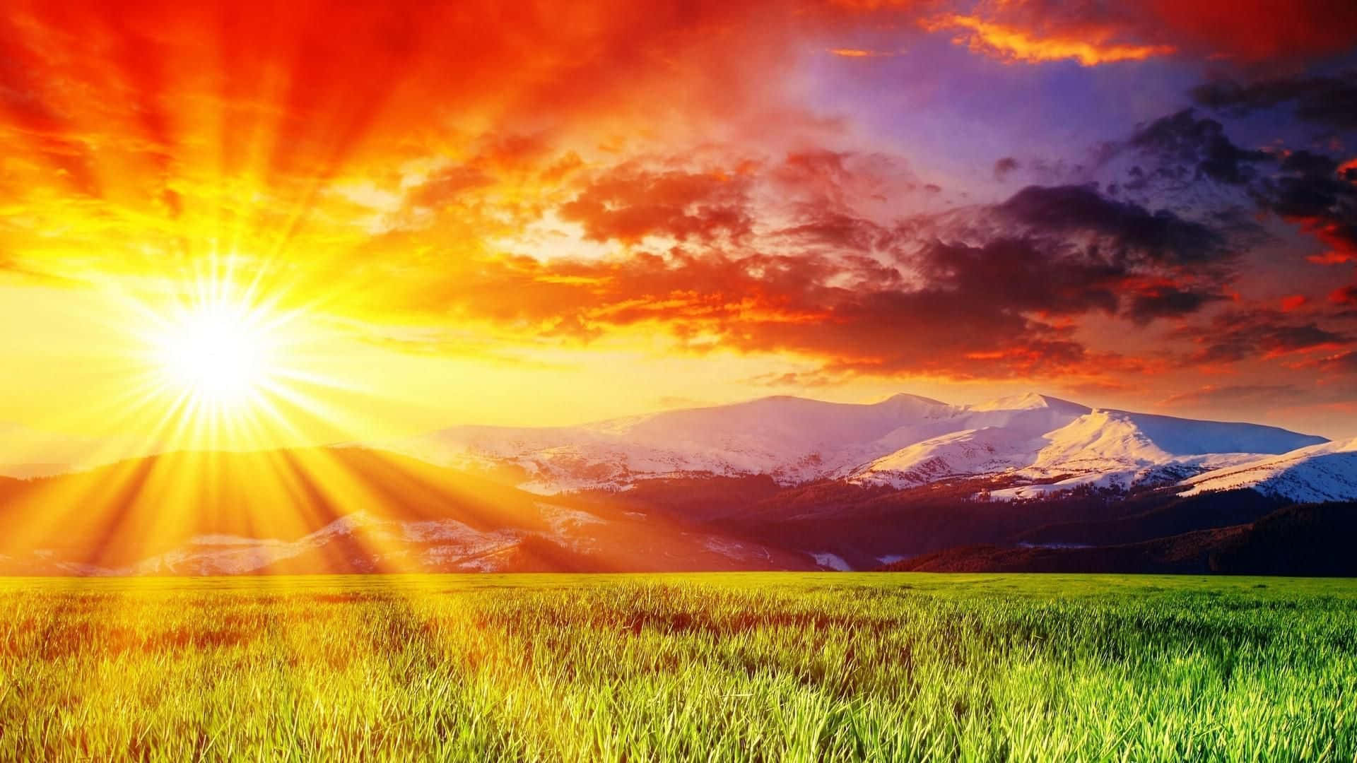 A Colorful Sun Rising Over A Green Field Wallpaper
