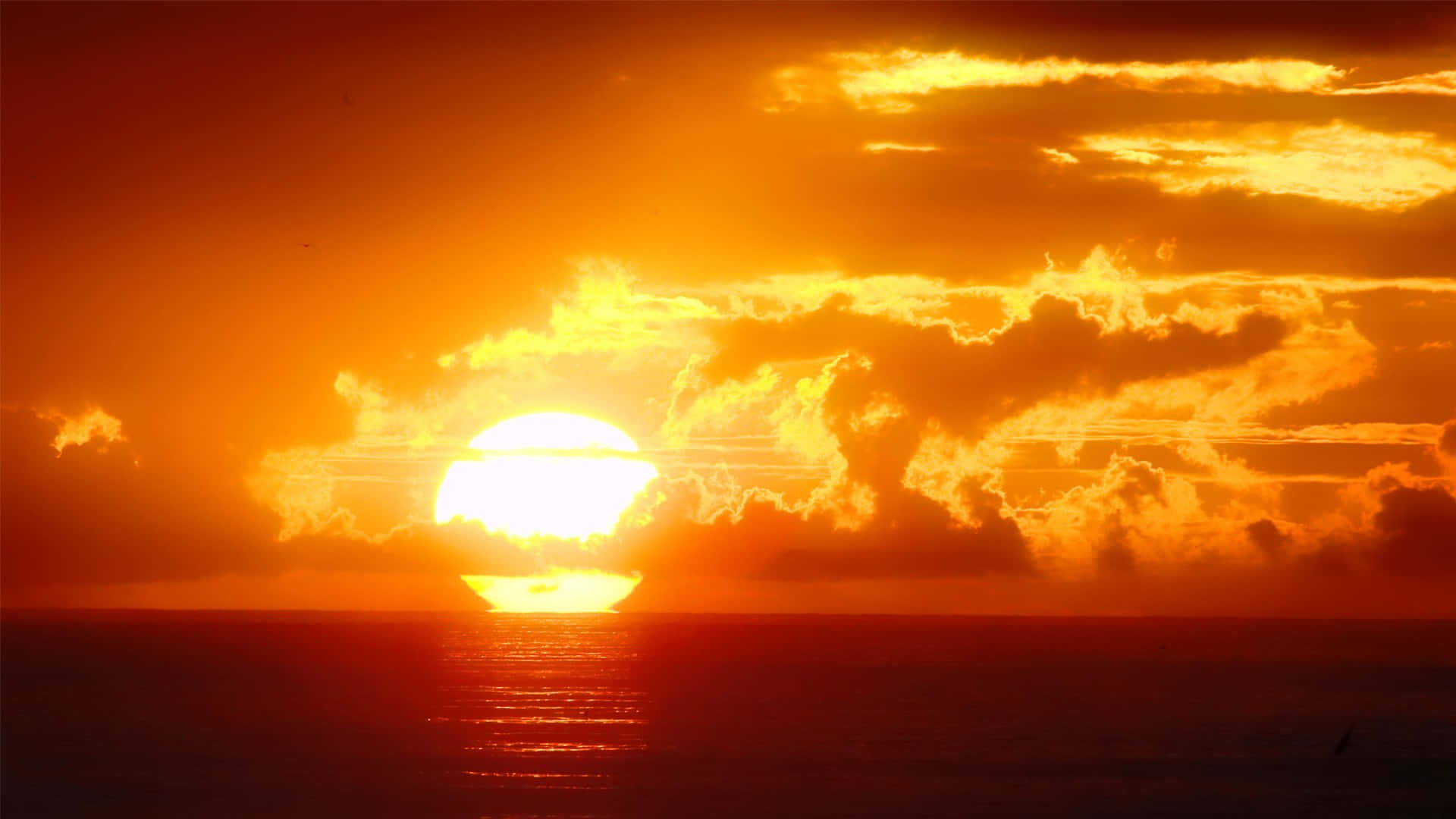 Solen går ned over havet Wallpaper