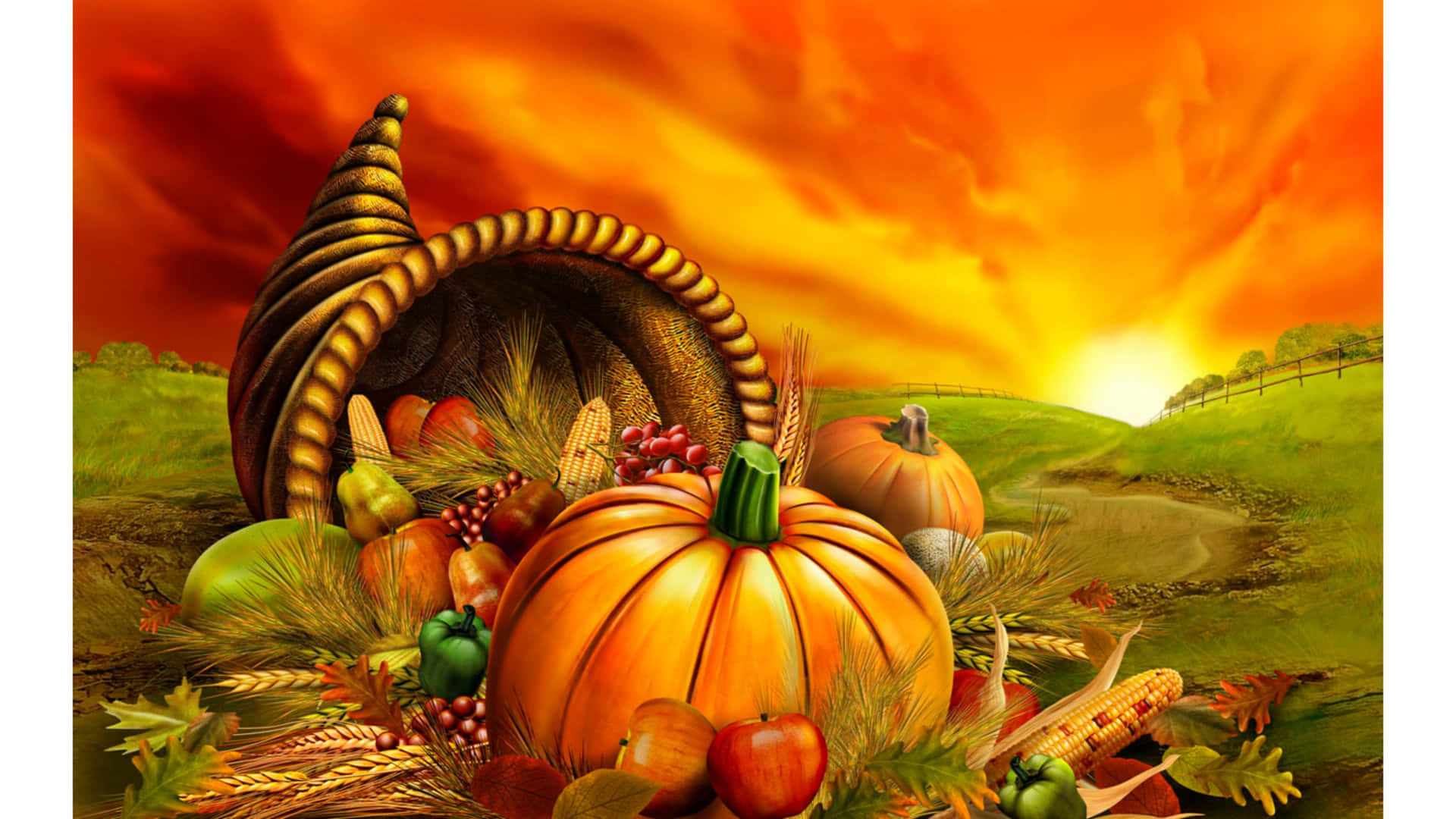 Fresh, ripe pumpkins signal the start of Thanksgiving celebrations. Wallpaper