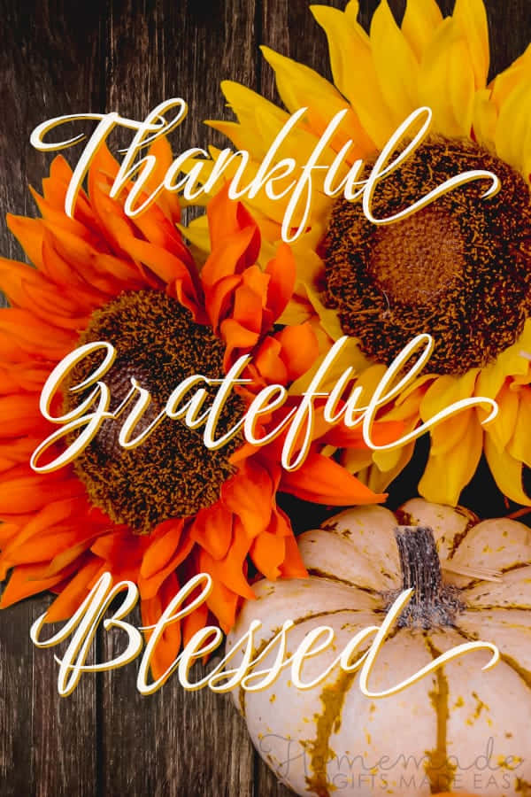 Beautiful Thanksgiving Text Art Picture