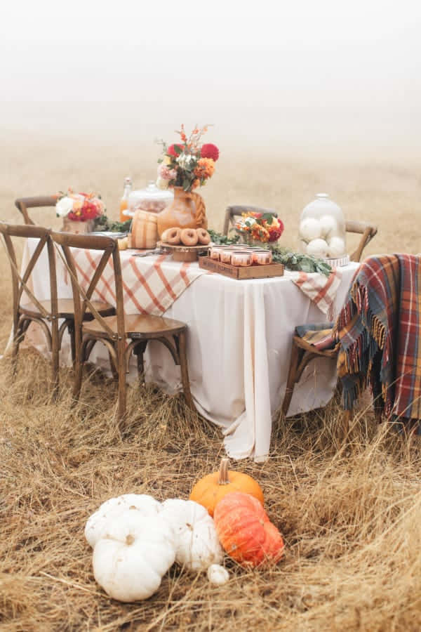 Beautiful Thanksgiving Outdoor Dinner Setup Picture
