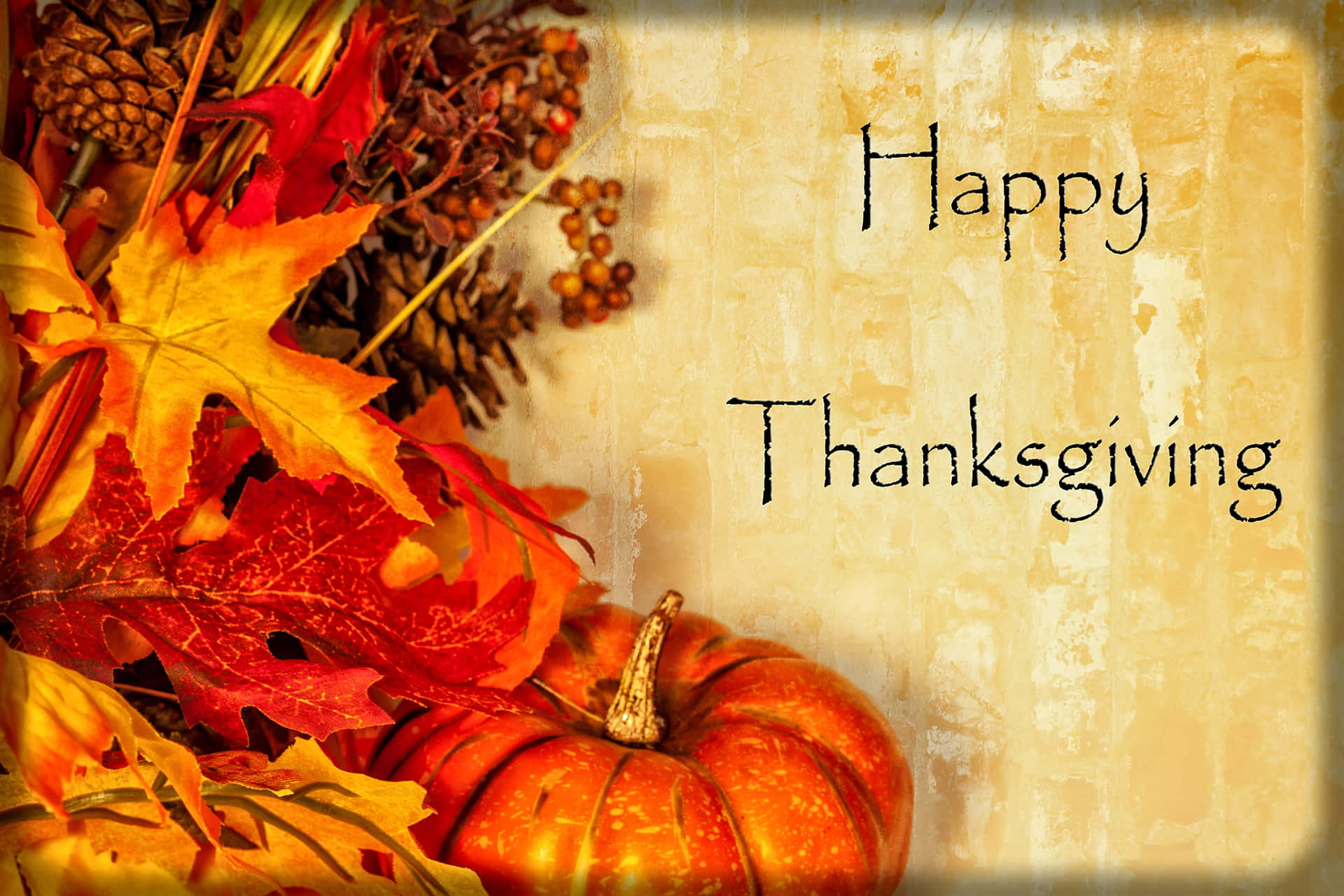 Download Beautiful Thanksgiving Pictures 5616 X 3744 | Wallpapers.com