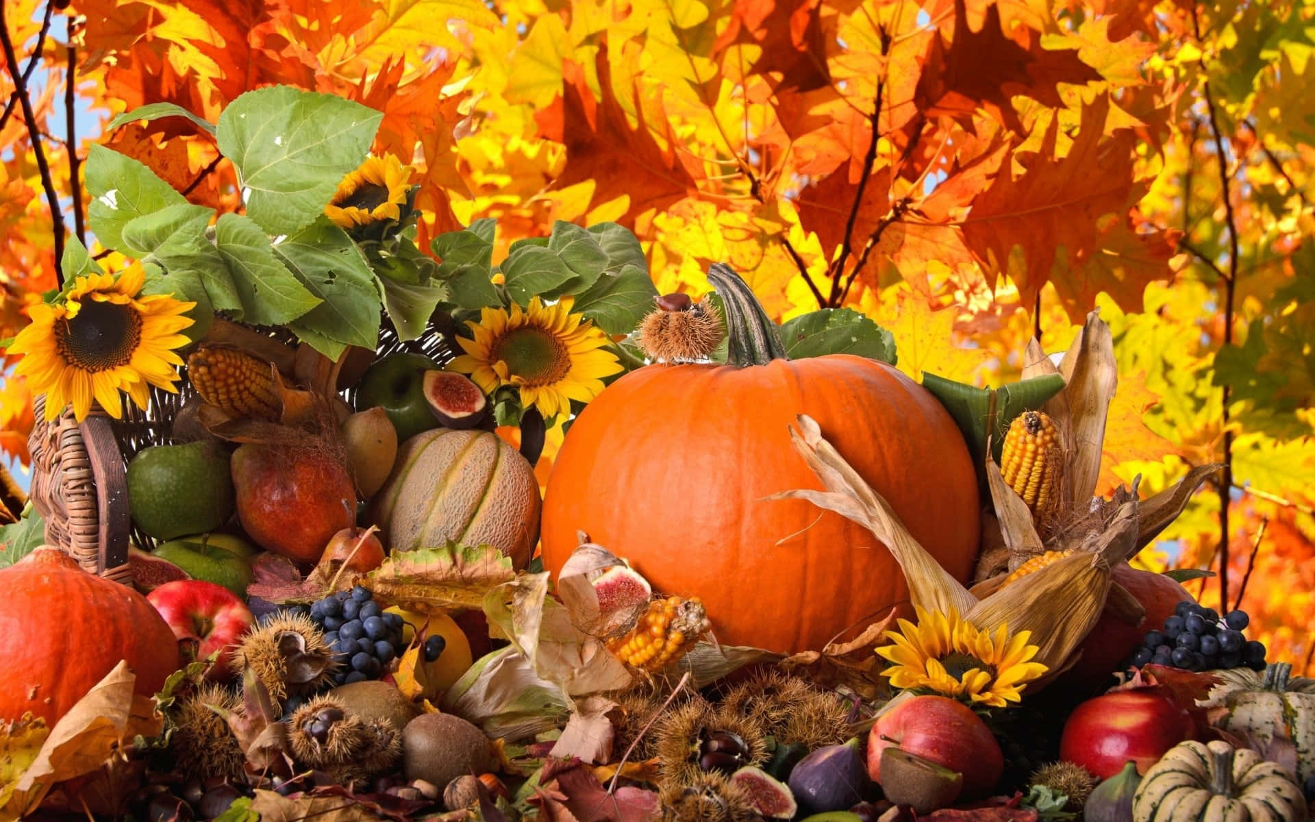 Celebrate Thanksgiving with a beautiful feast! Wallpaper