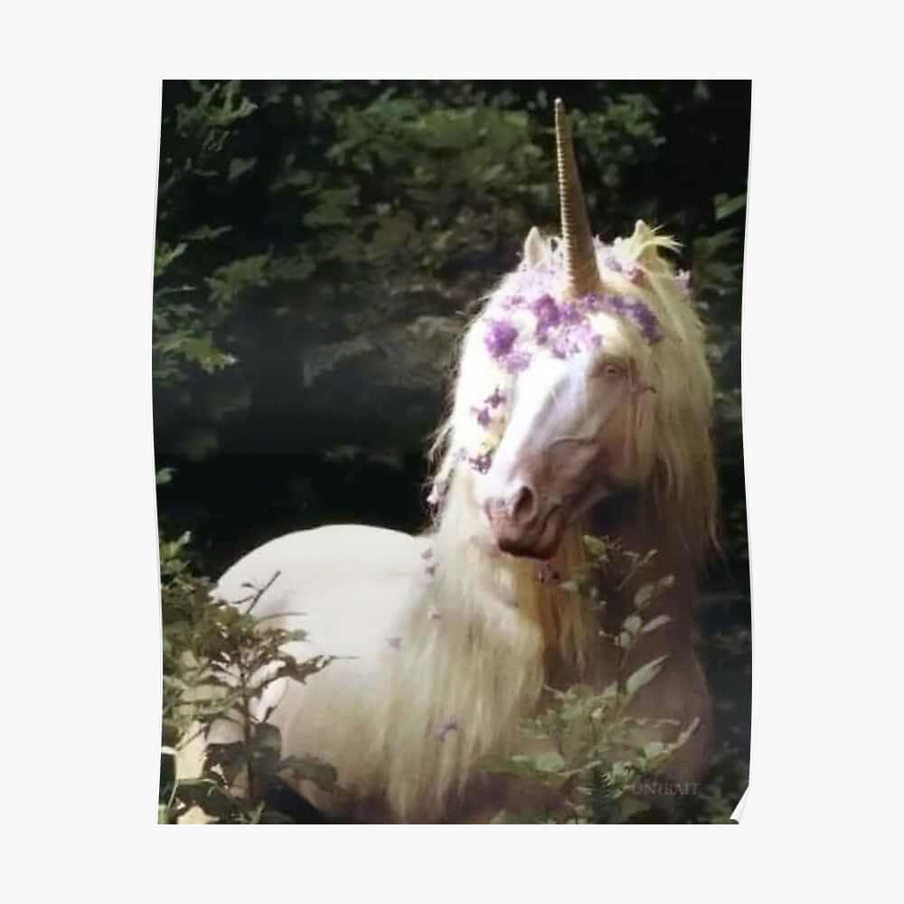 Beautiful Unicorn With Purple Flowers In Hair Picture