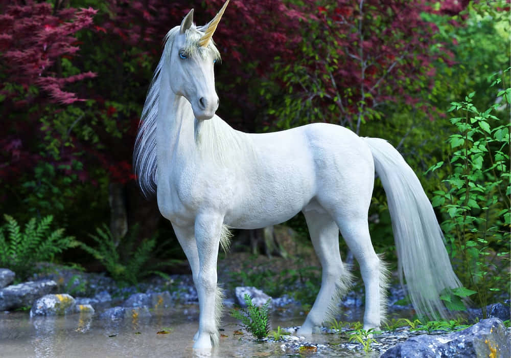 Beautiful Unicorn Resting In Pond Picture