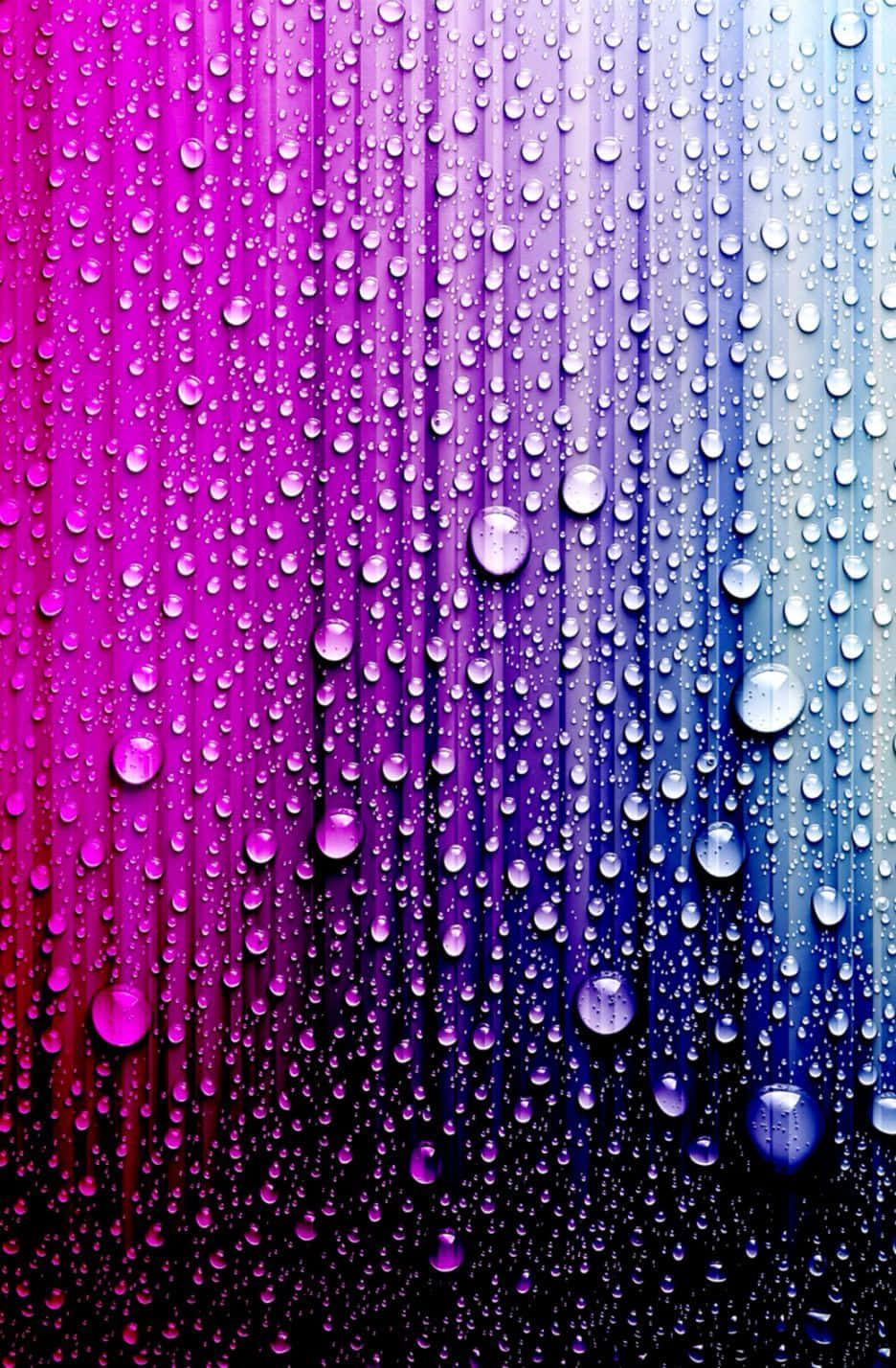 Water Droplets On A Purple And Blue Background Wallpaper