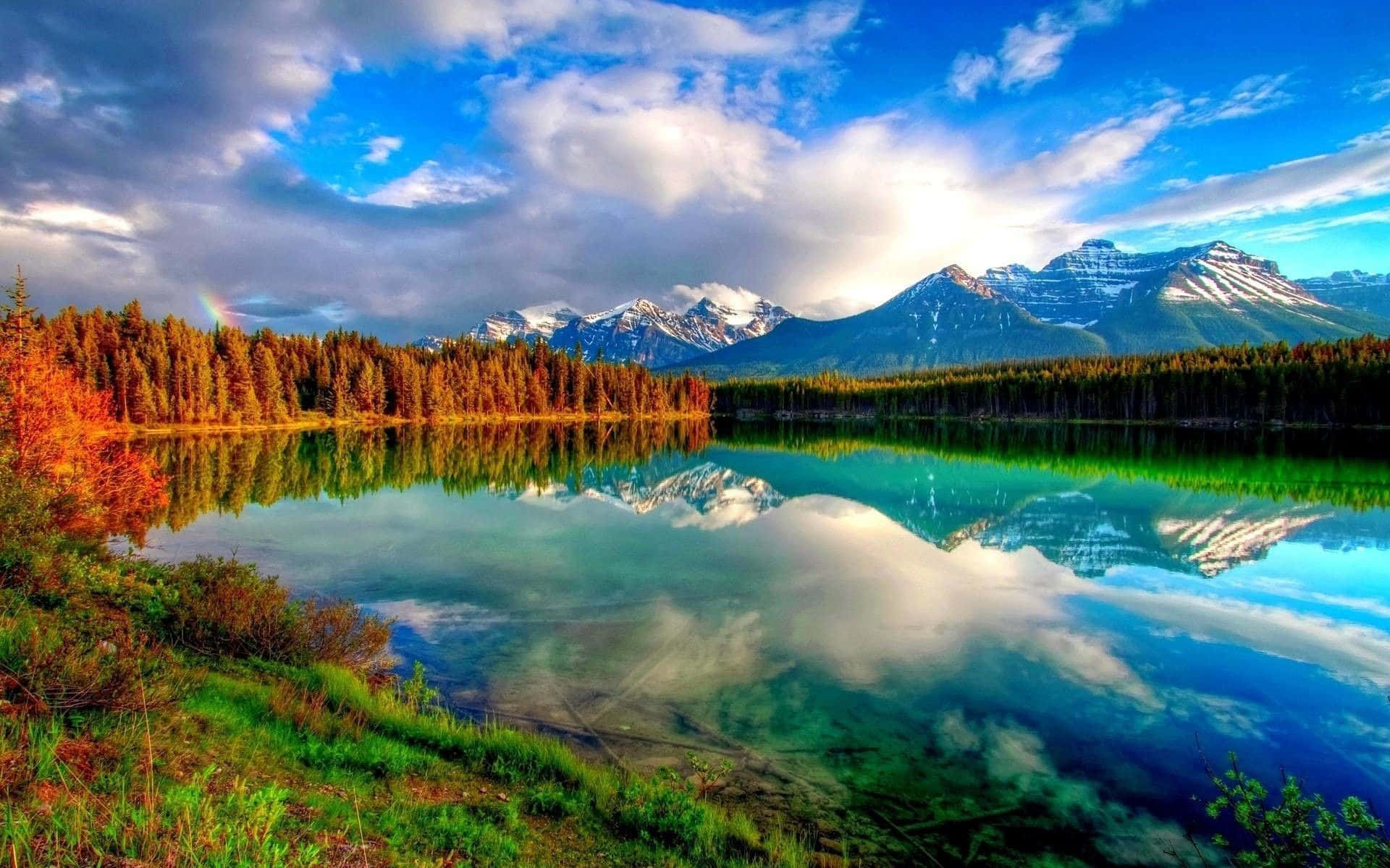 Glimpse the Perfection of Nature - A Beautiful View Wallpaper