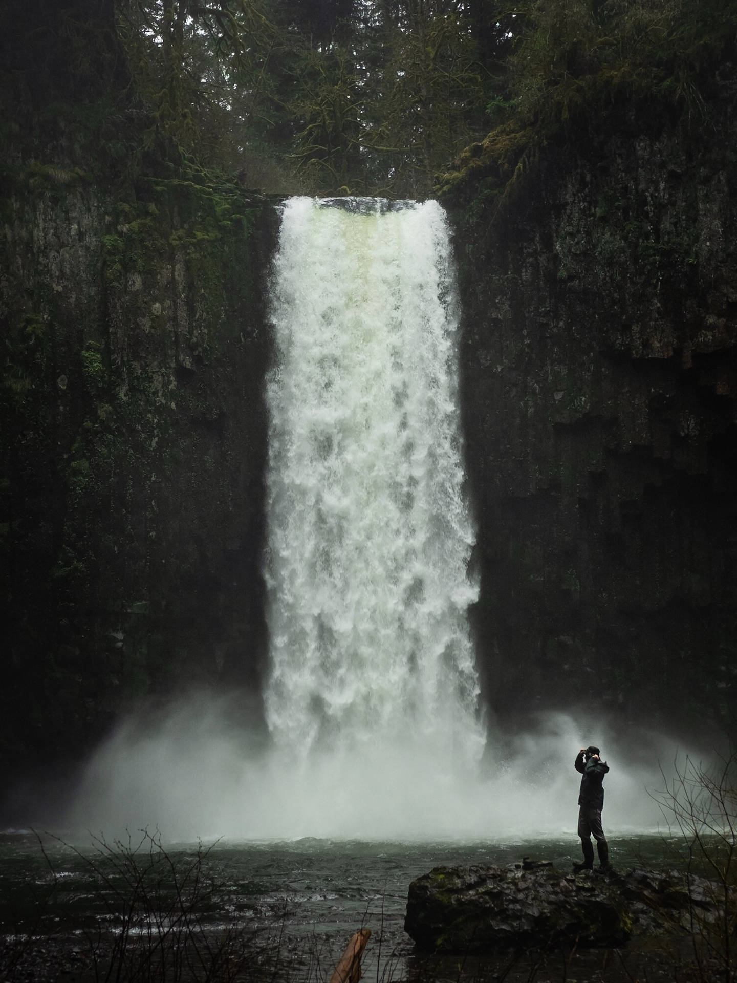 Beautiful Waterfall Abiqua Oregon Wallpaper