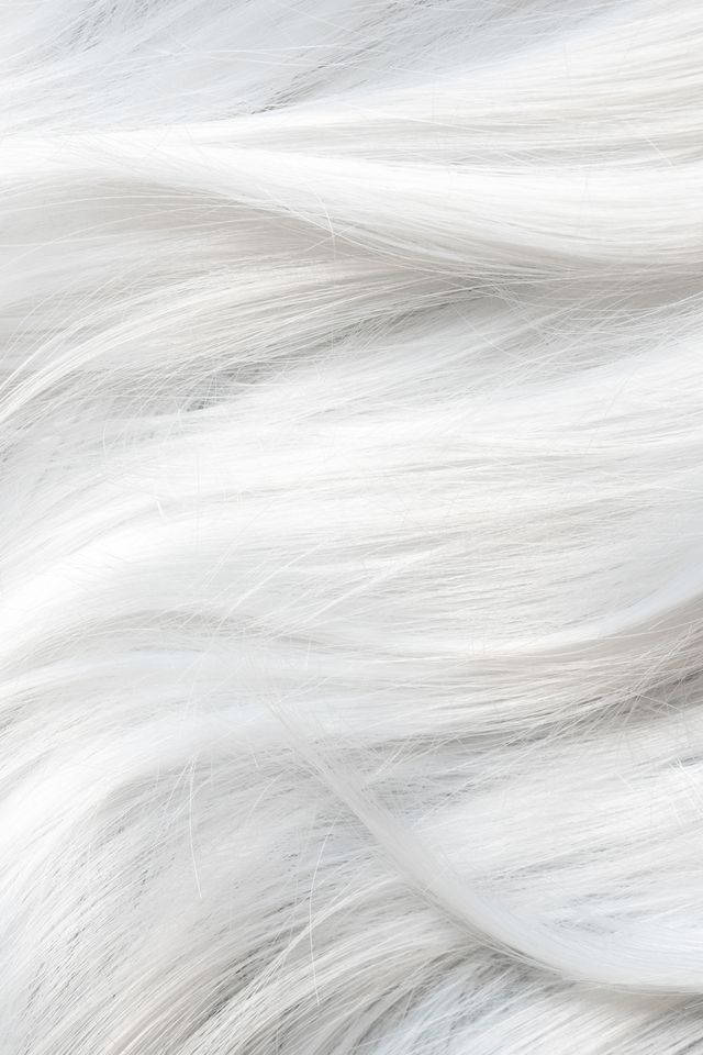 Beautiful White Hair Wallpaper