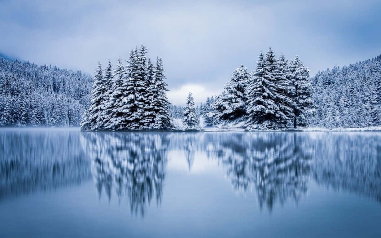 Caption: Tranquil Winter Wonderland