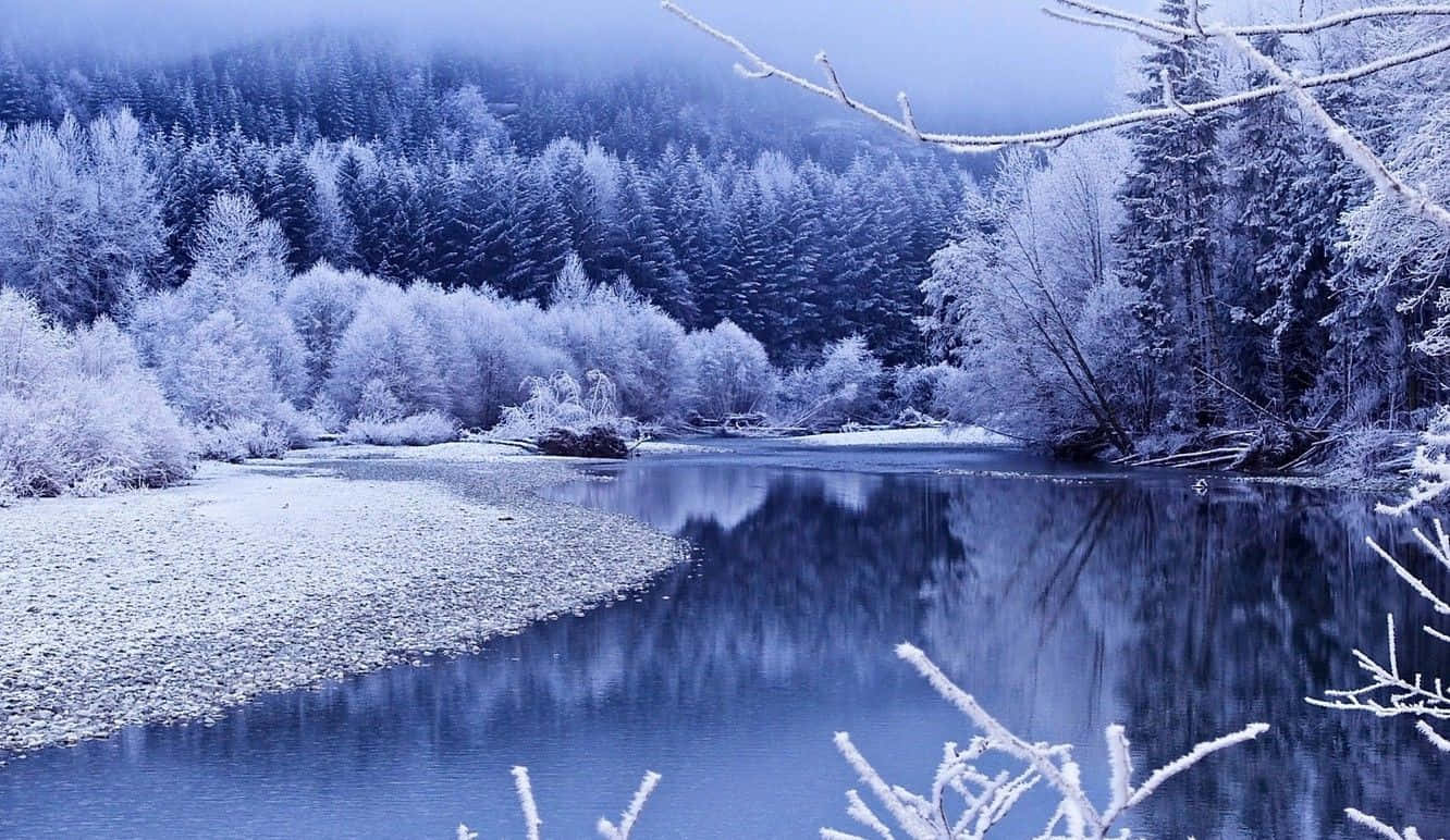 Njutav Den Frostiga Skönheten Av Vinter