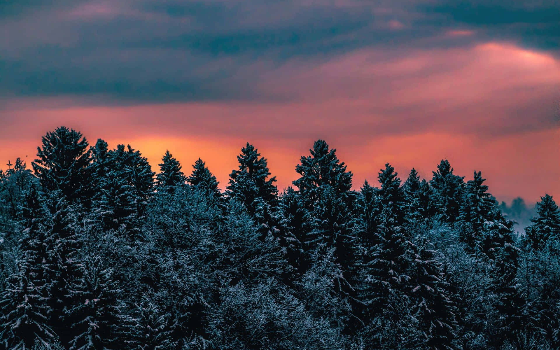 Genießensie Einen Wunderschönen Wintertag