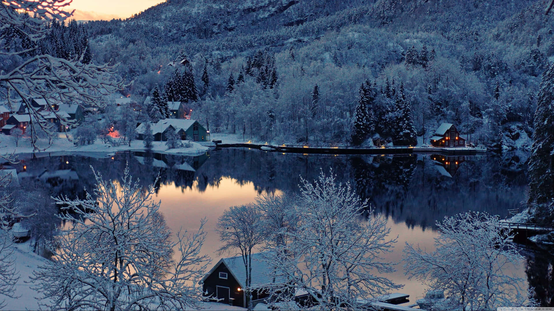 Sneen dækkede nåletræer og den fryste sø gør en kold vinterdag smuk. Wallpaper