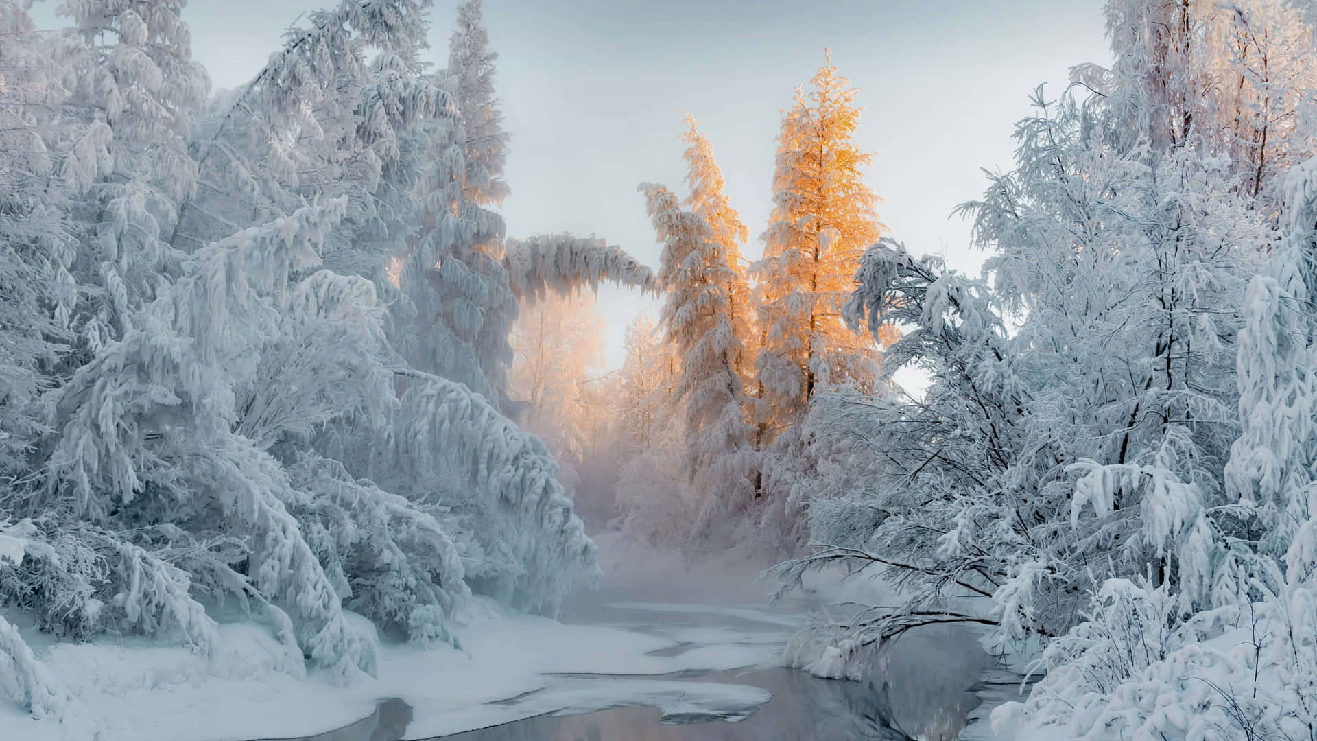 Dieruhige Schönheit Eines Atemberaubenden Wintertages.