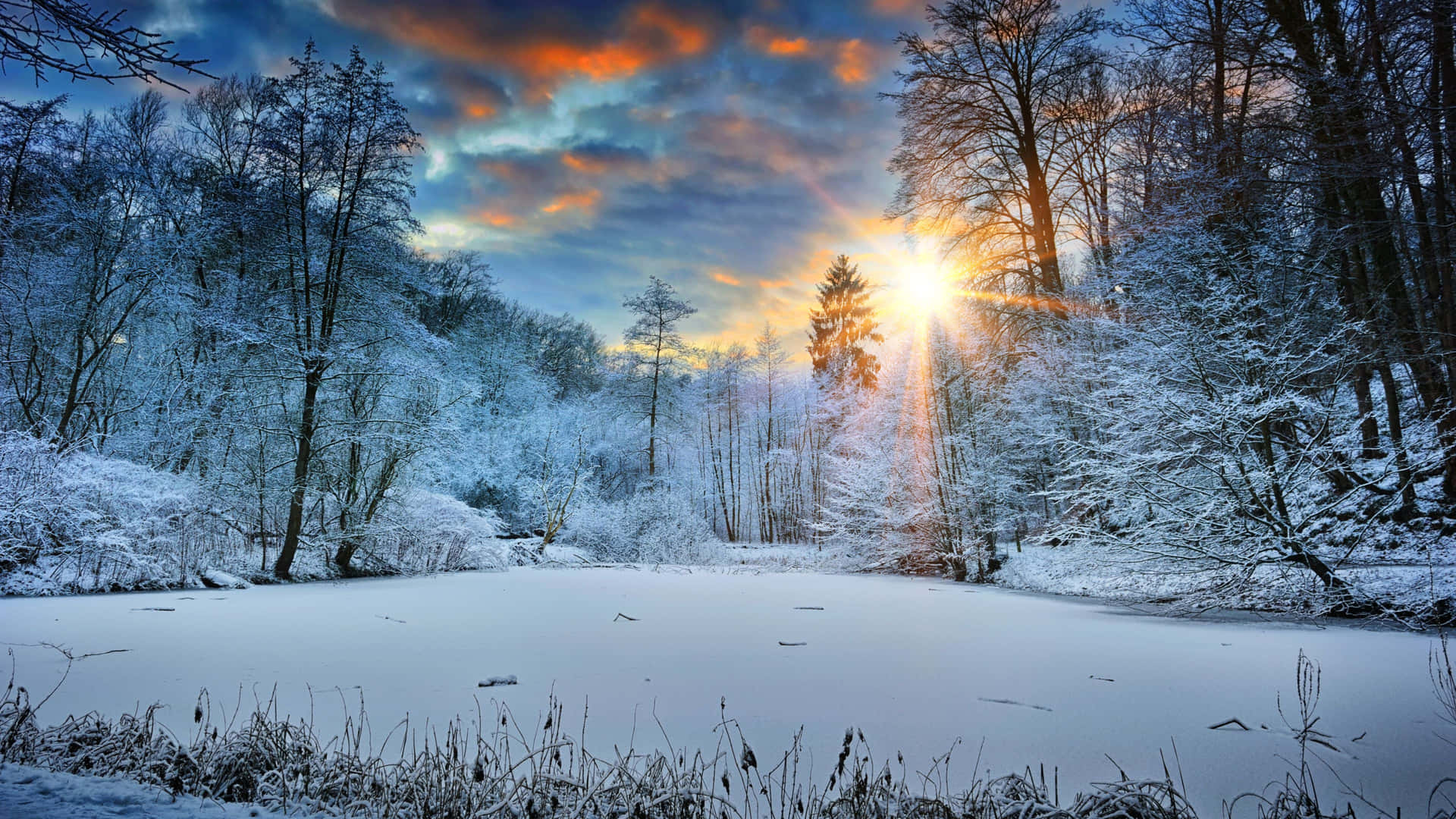 Let the peaceful winter sun warm your heart.