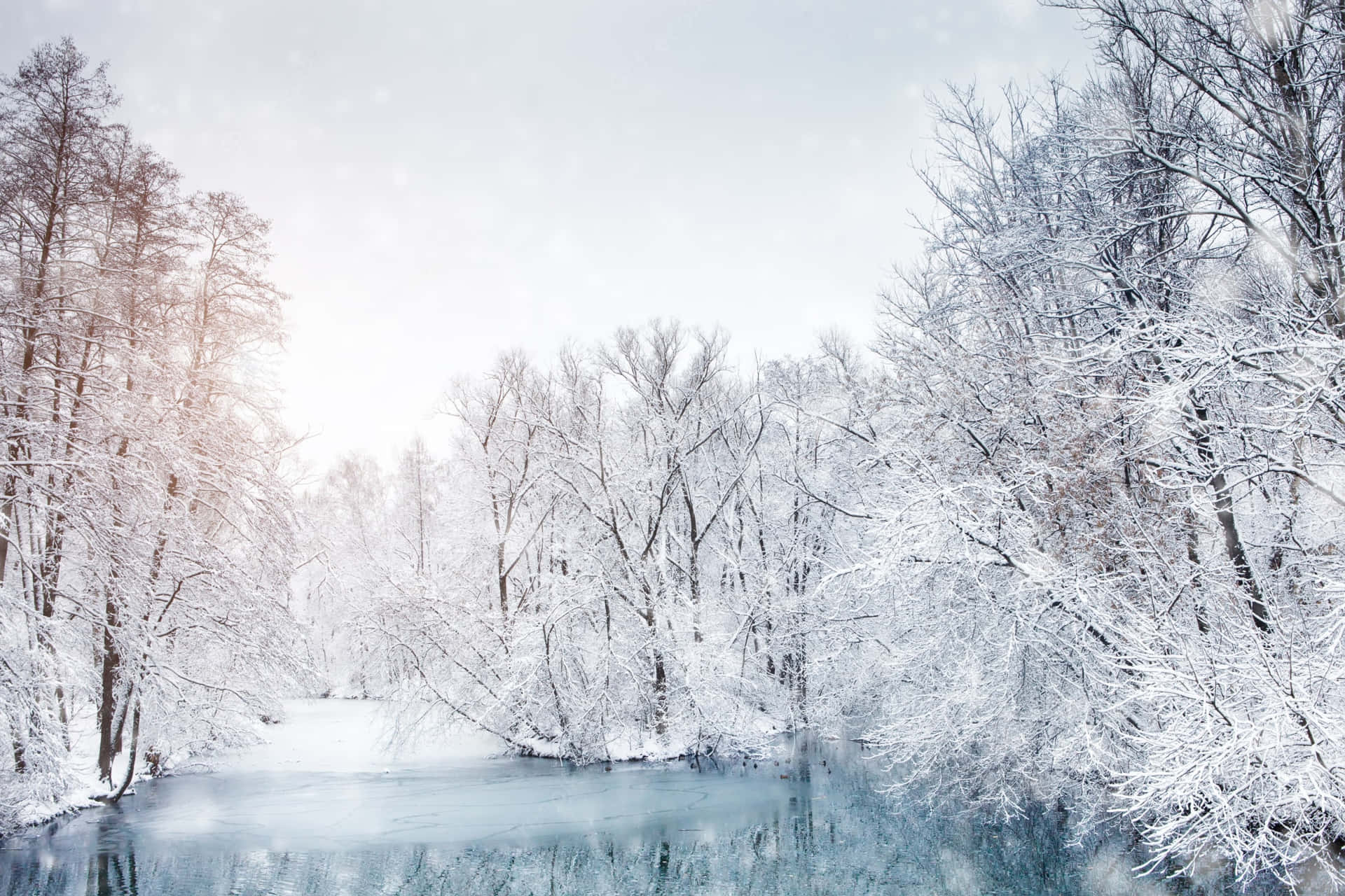Winter Wonderland - A Glittery Scene of Beauty Wallpaper