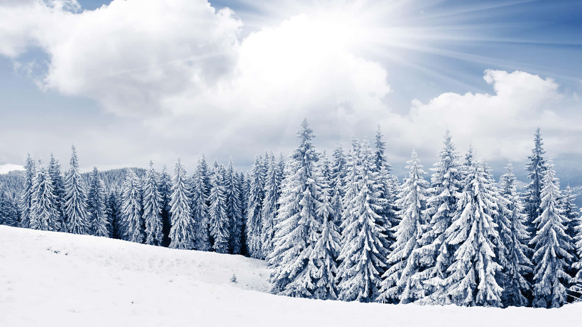 Untranquillo Paesaggio Invernale Con Un Manto Di Neve