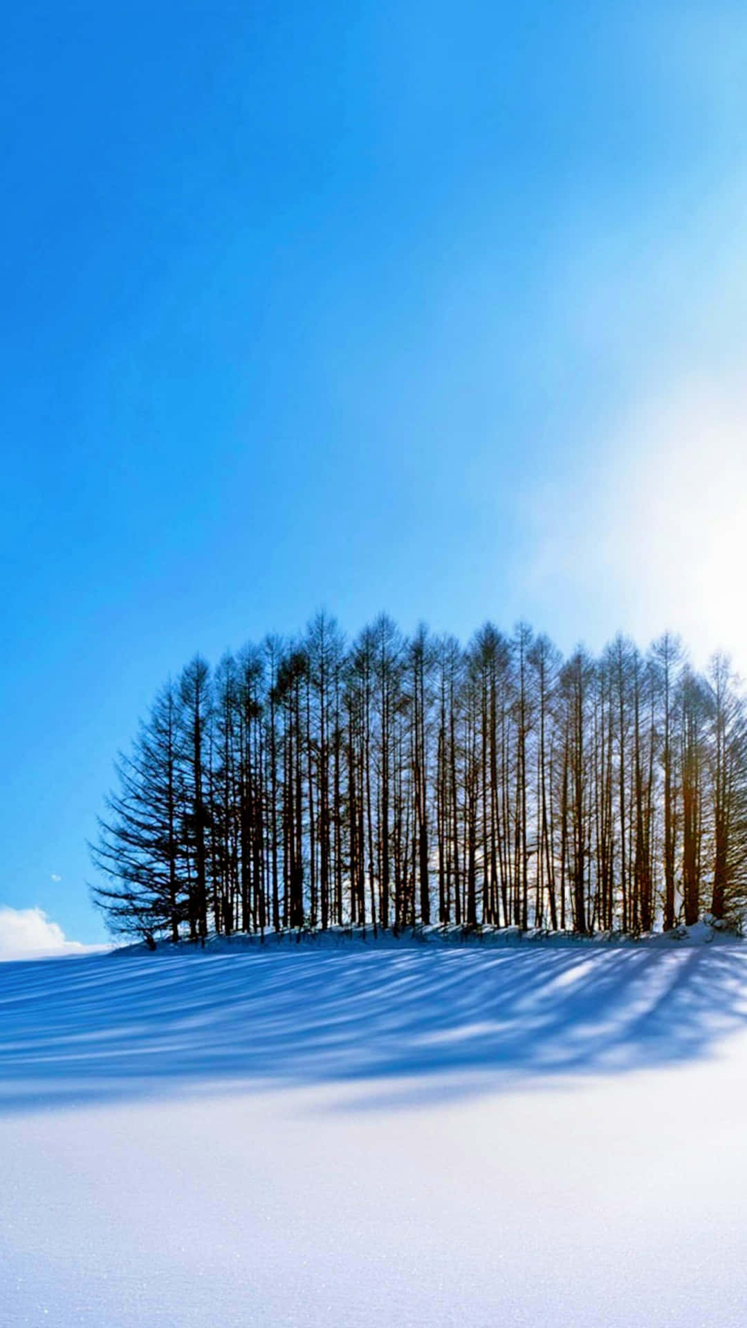 Umacolina Coberta De Neve Com Árvores Ao Fundo. Papel de Parede