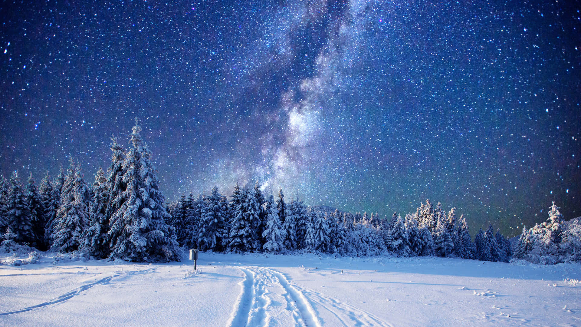 "A Stunning Winter Wonderland" Wallpaper