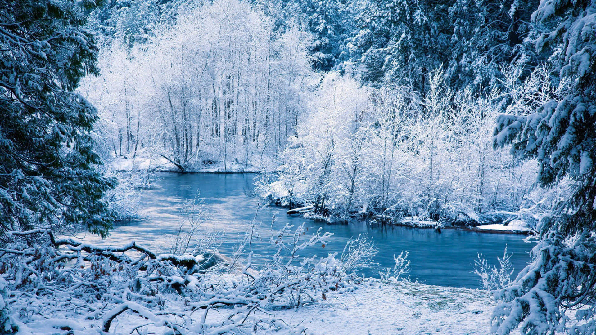Et flod med sne dækkede træer kører gennem efterårsfarver Wallpaper