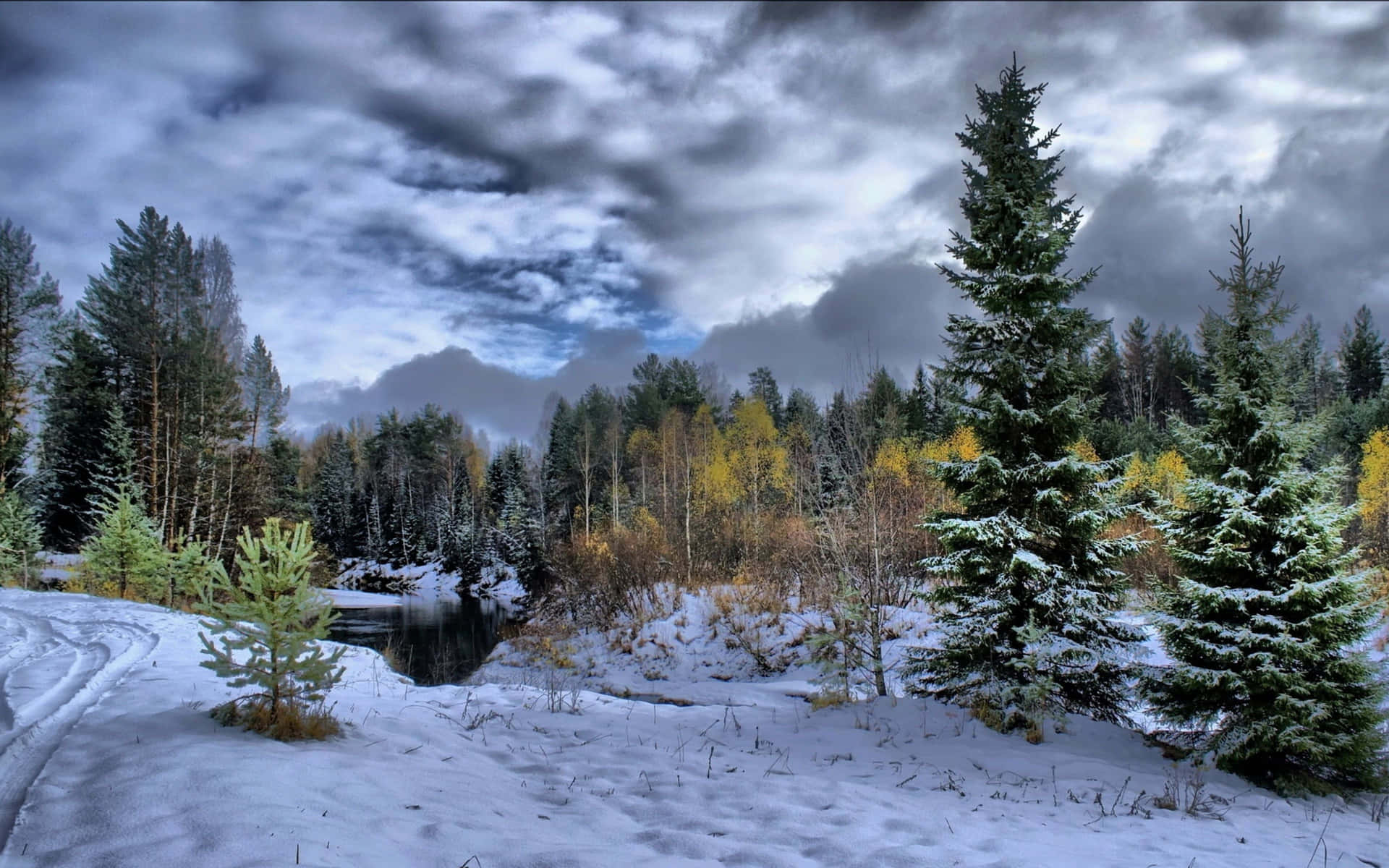 Unbosque Cubierto De Nieve Con Árboles Y Nubes Fondo de pantalla