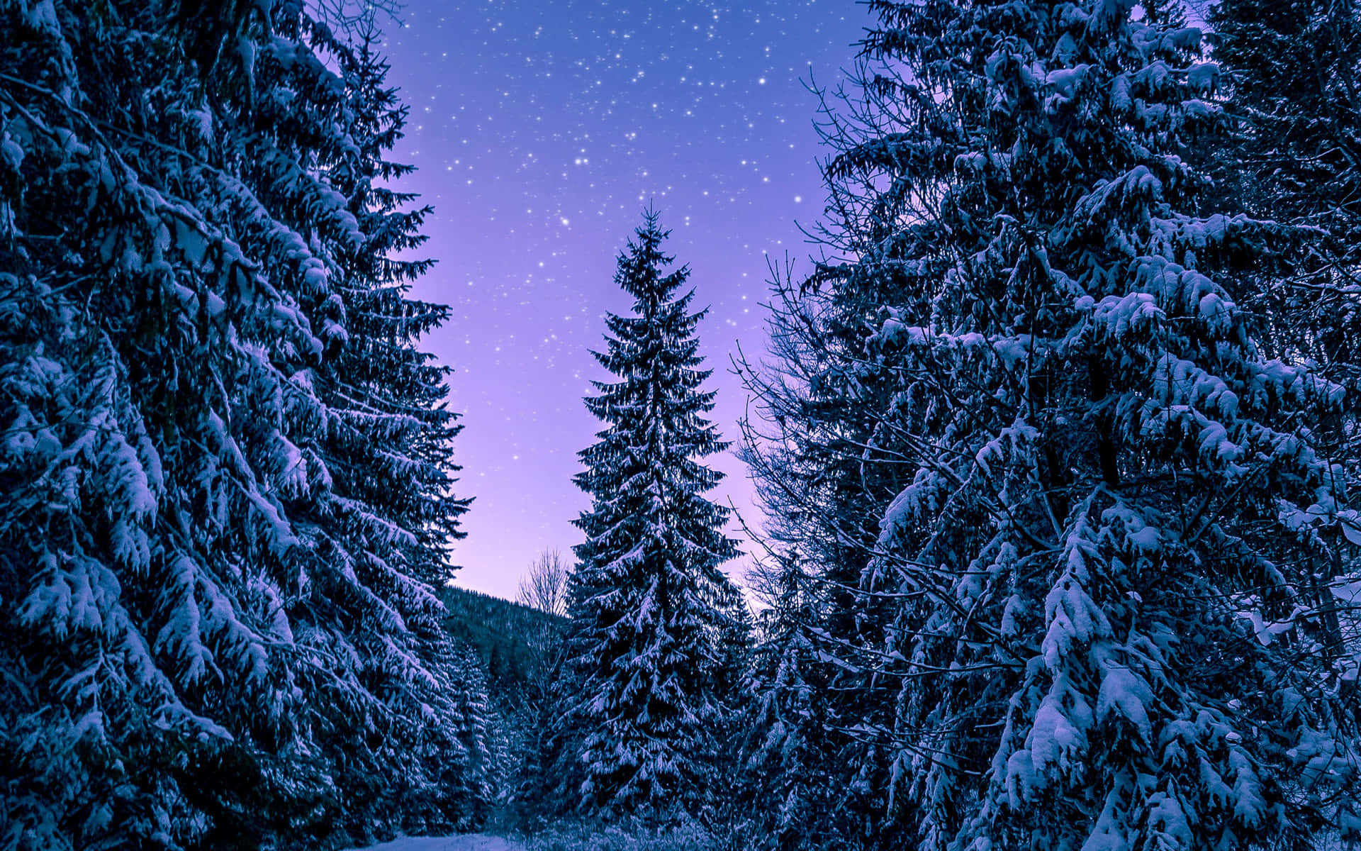 Enjoy winter in its beautiful and snowy glory Wallpaper