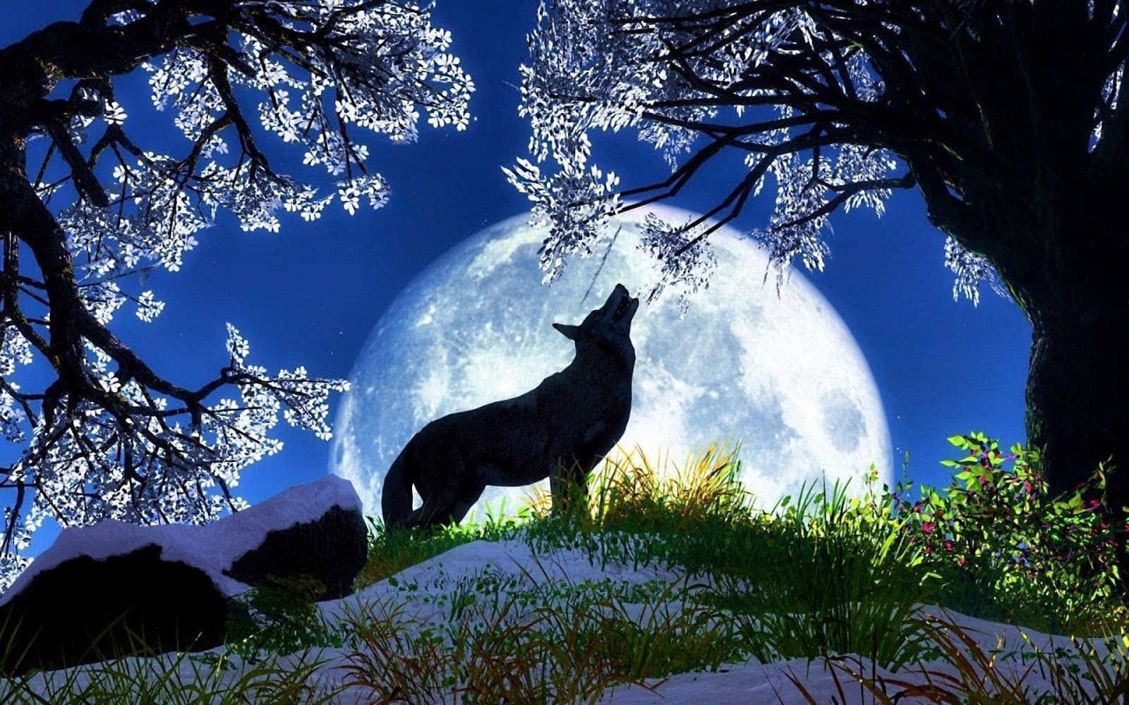 An illuminated wolf in a peaceful environment